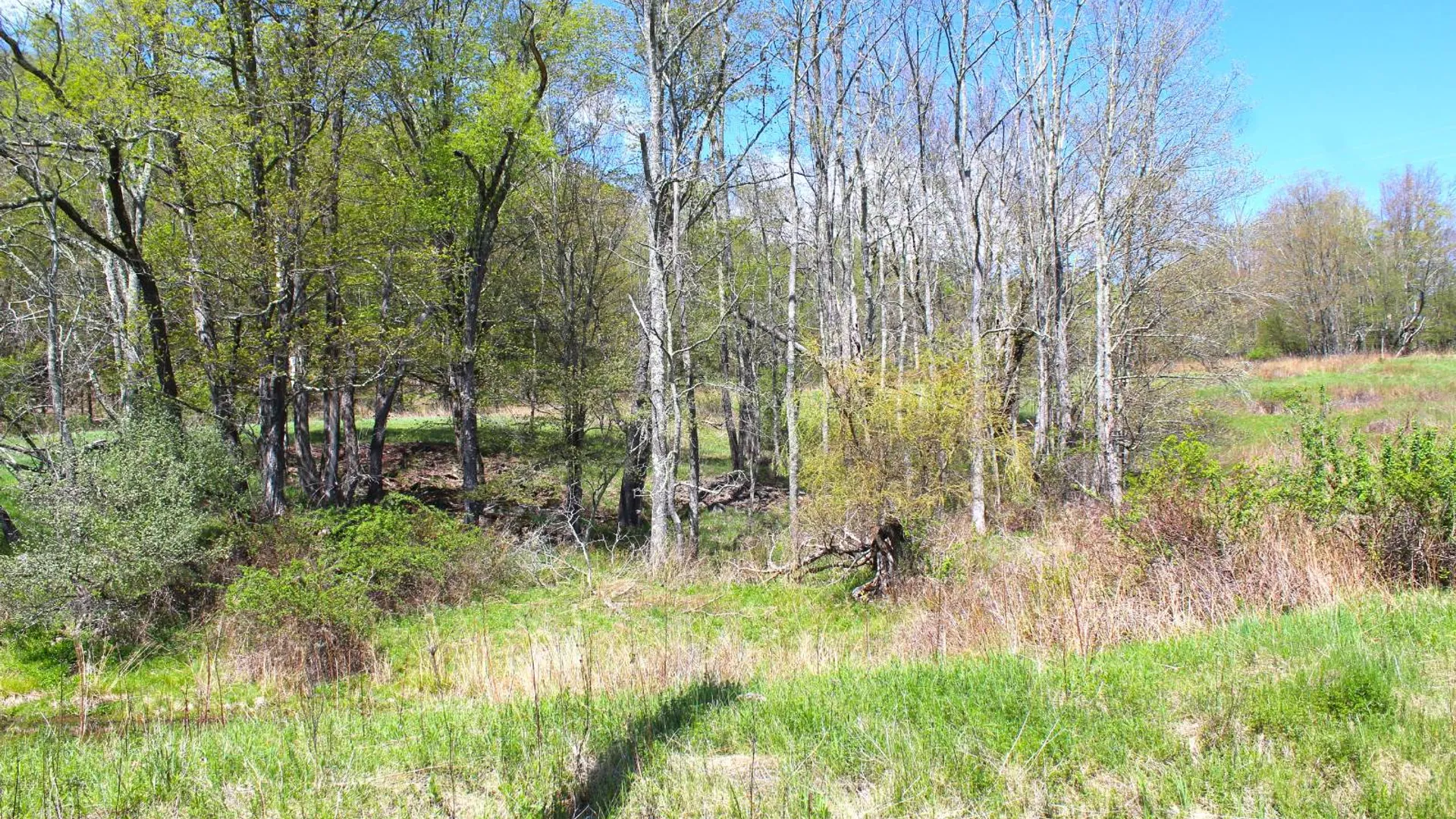 Property at 415 Deer Run Road, Ashlnd, NY 12407 19
