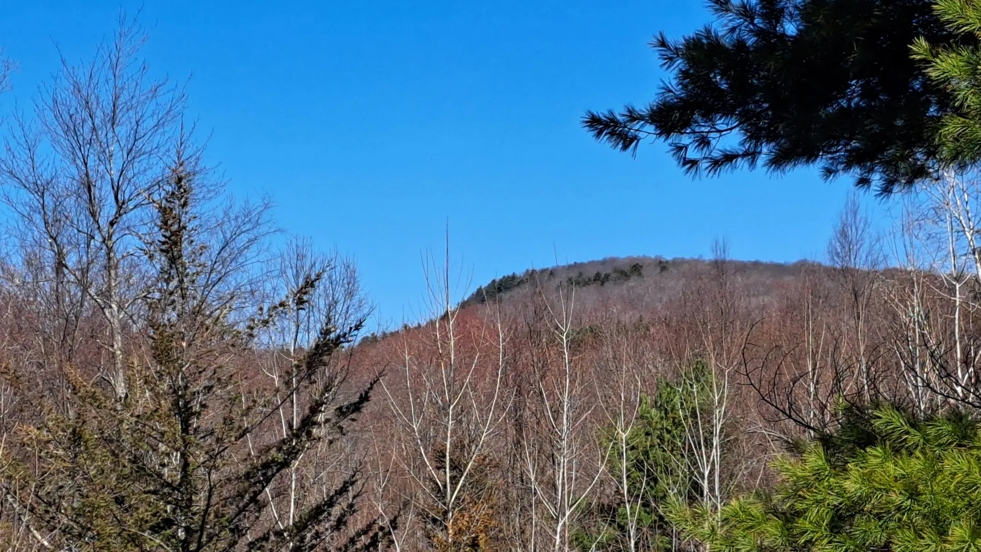 Property at State Route 149, Granville, NY 12832 3
