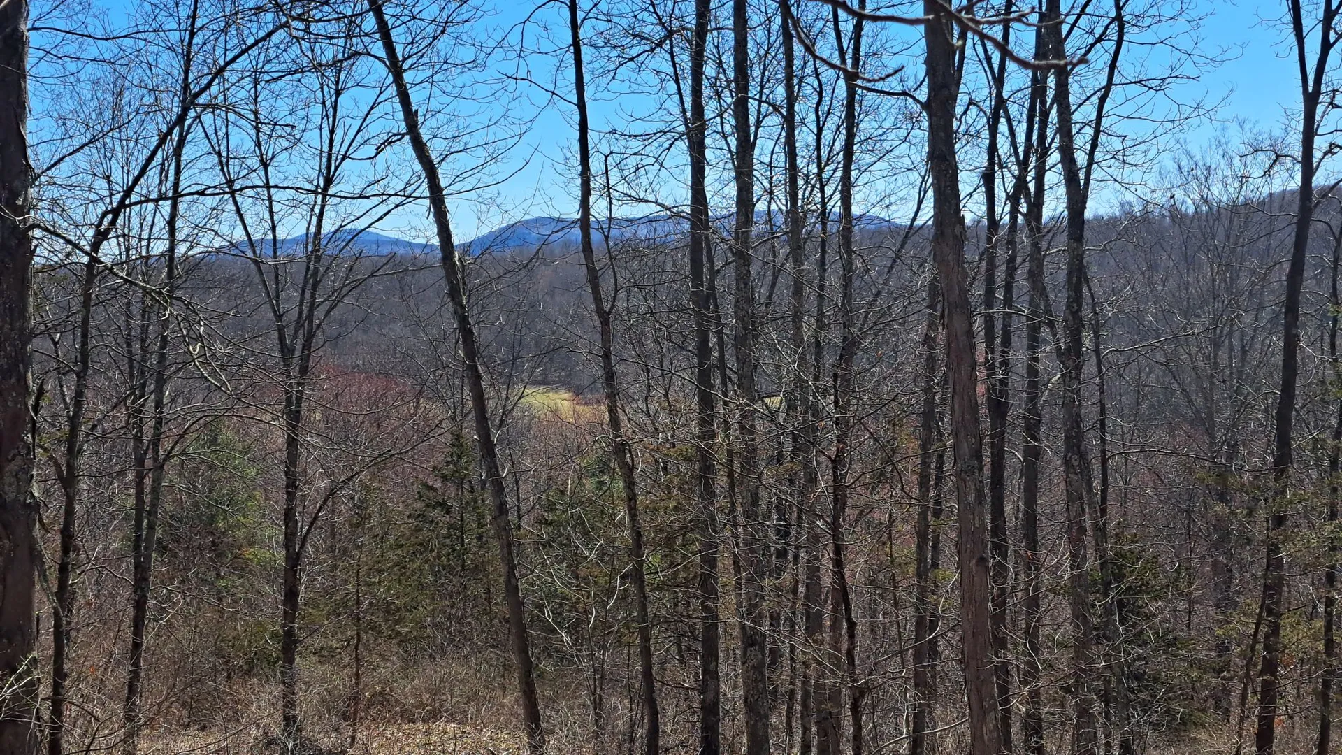 Property at State Route 149, Granville, NY 12832 4