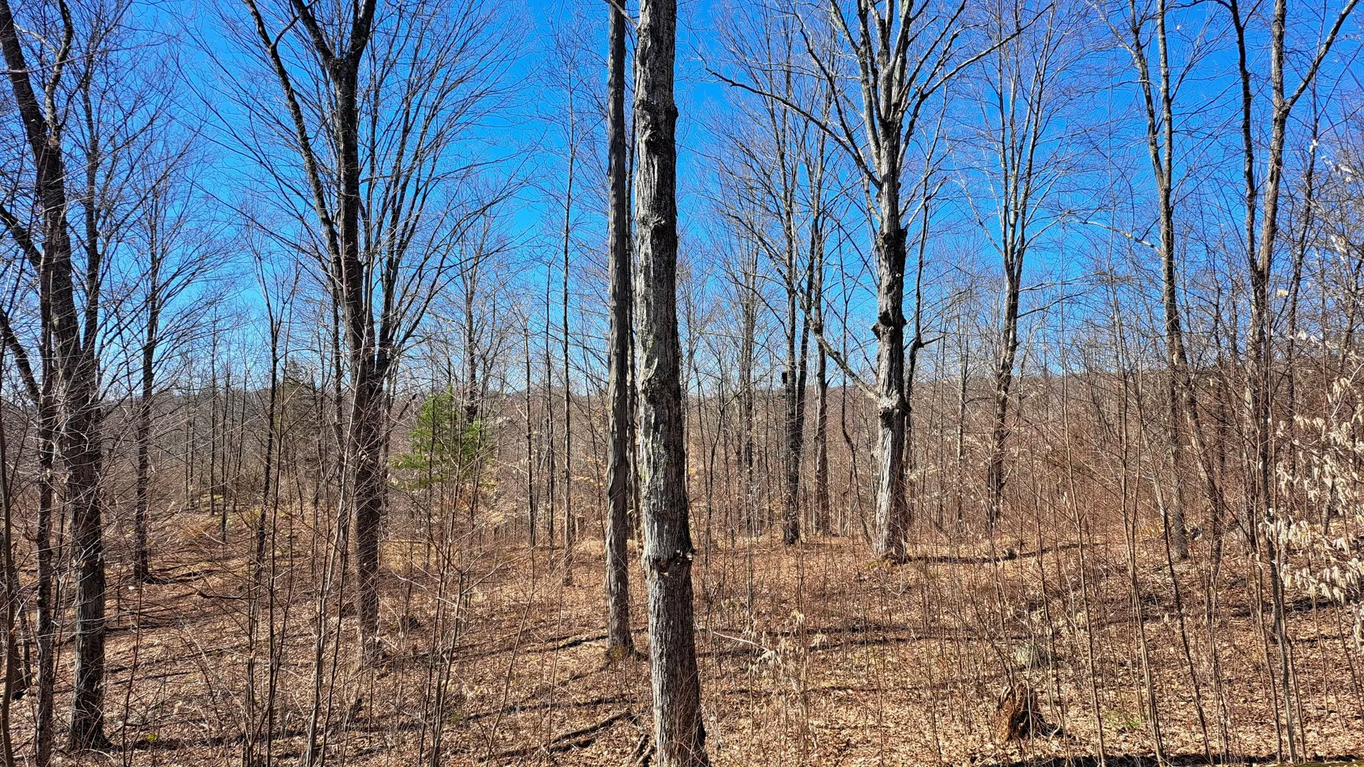 Property at State Route 149, Granville, NY 12832 5