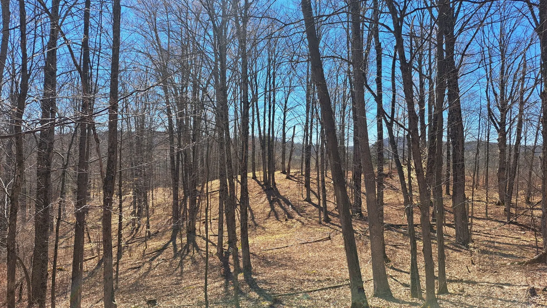 Property at State Route 149, Granville, NY 12832 6