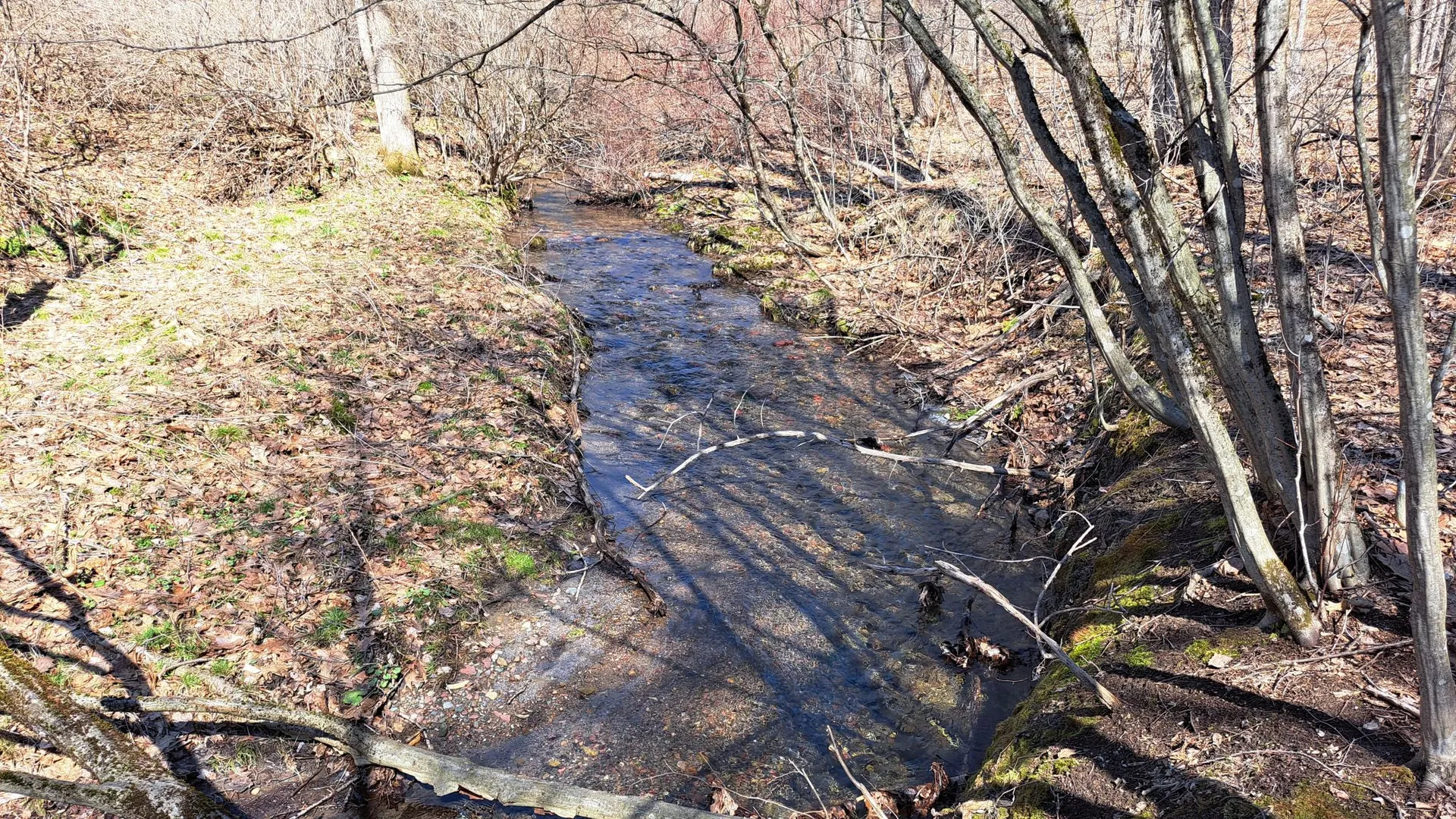 Property at State Route 149, Granville, NY 12832 7