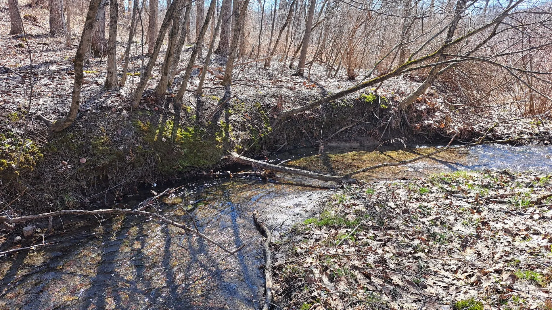 Property at State Route 149, Granville, NY 12832 8