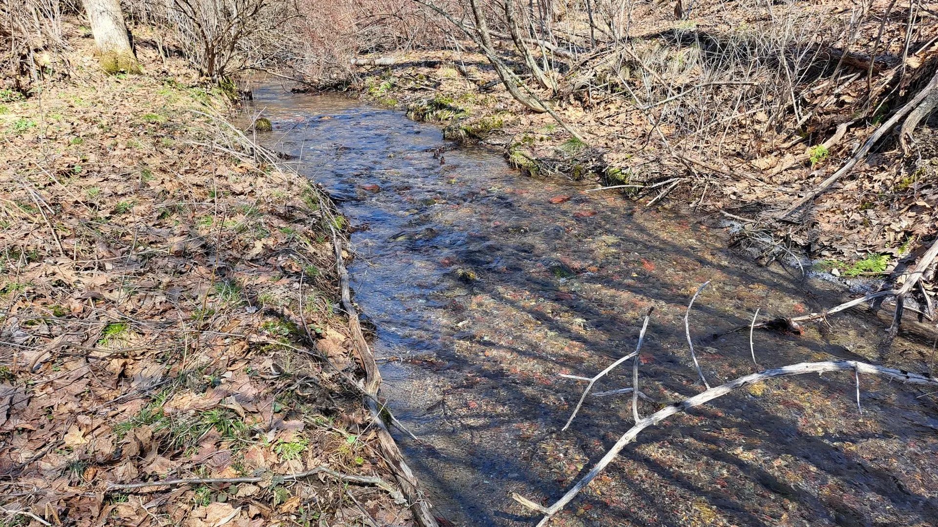 Property at State Route 149, Granville, NY 12832 9