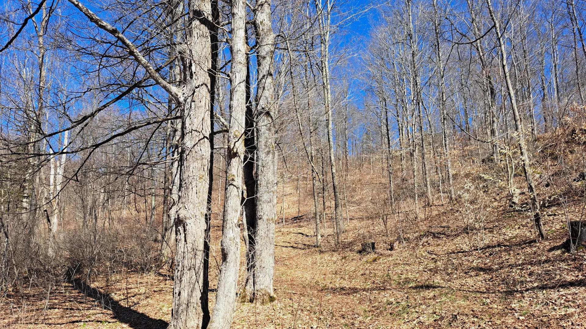 Property at State Route 149, Granville, NY 12832 10
