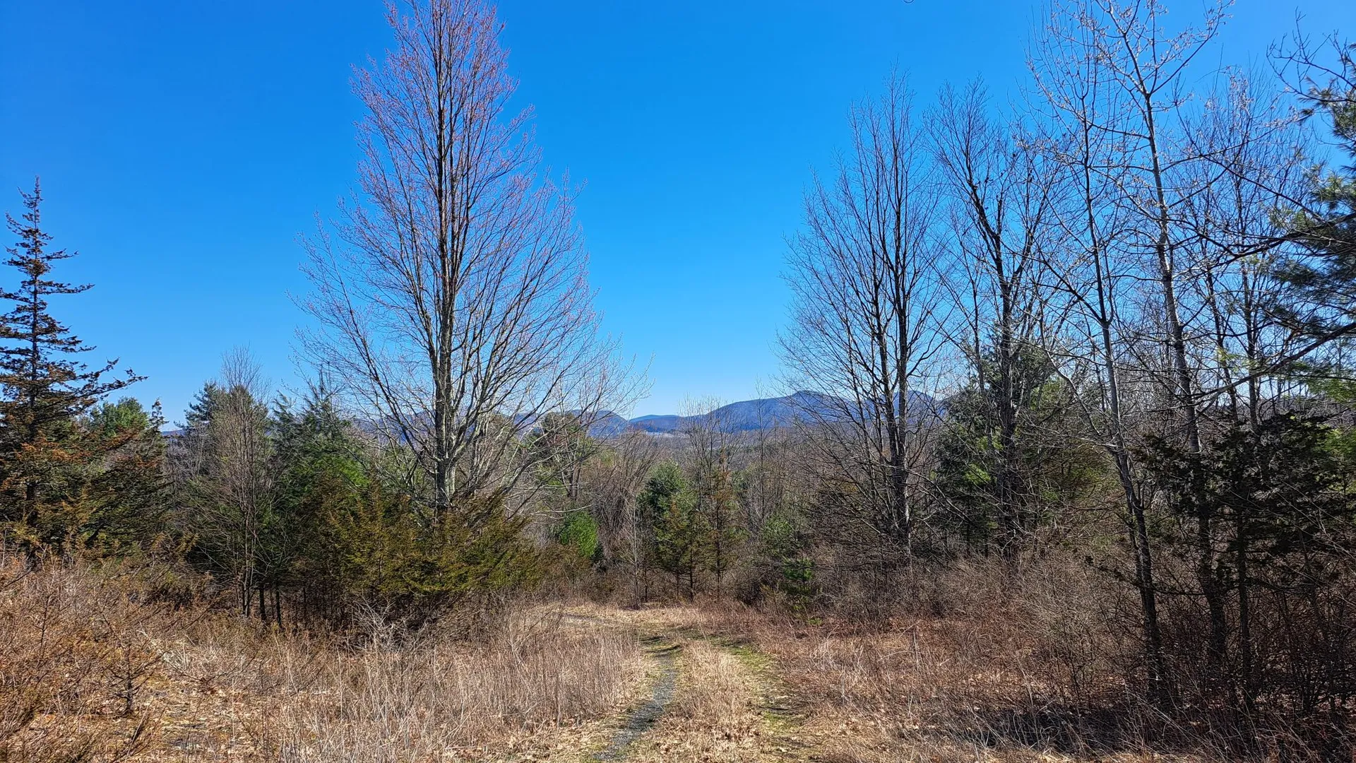 Property at State Route 149, Granville, NY 12832 11