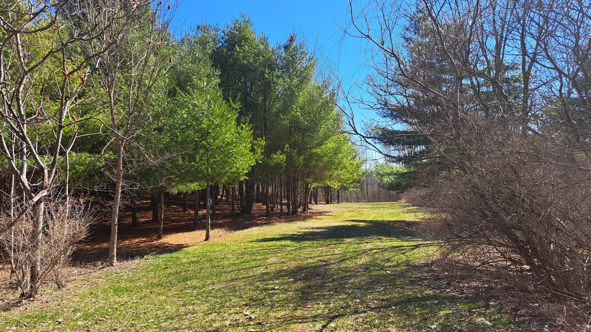 Property at State Route 149, Granville, NY 12832 12