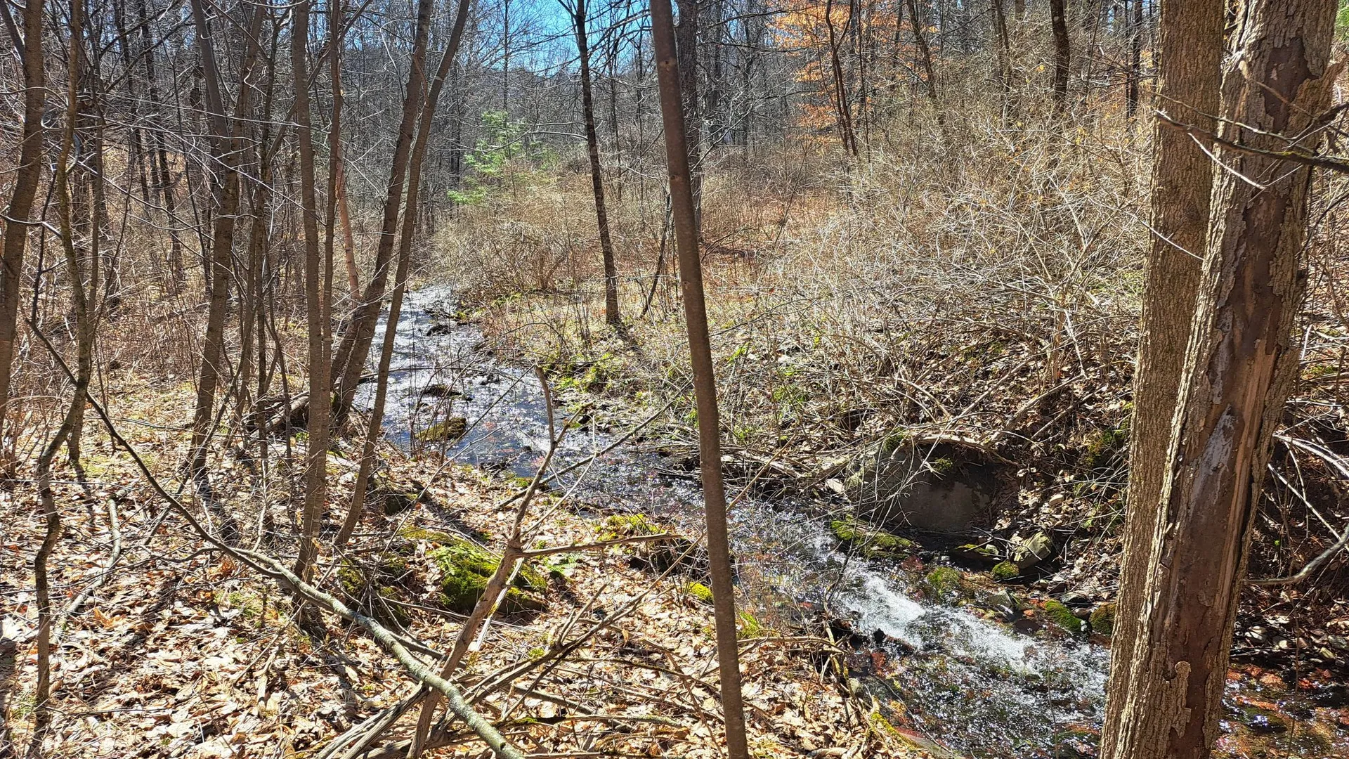Property at State Route 149, Granville, NY 12832 14