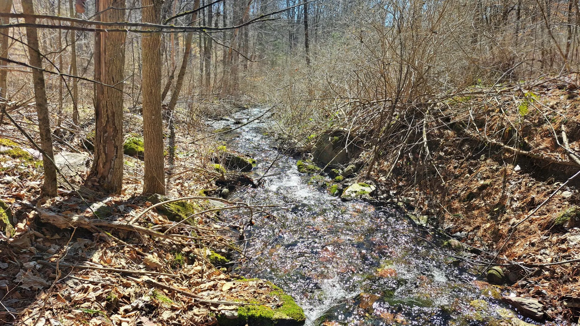 Property at State Route 149, Granville, NY 12832 15