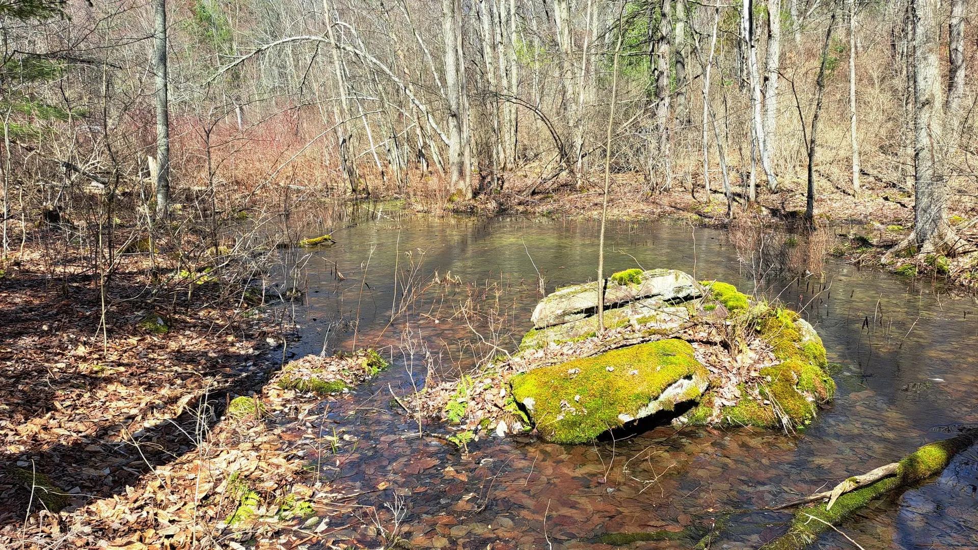 Property at State Route 149, Granville, NY 12832 16