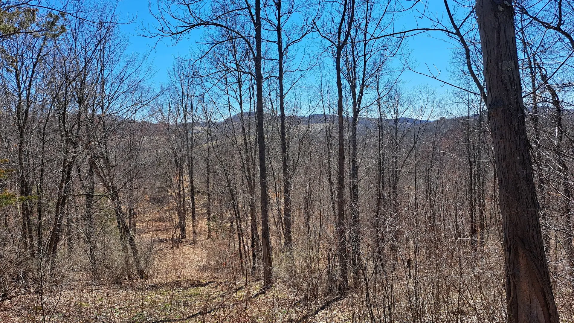 Property at State Route 149, Granville, NY 12832 19