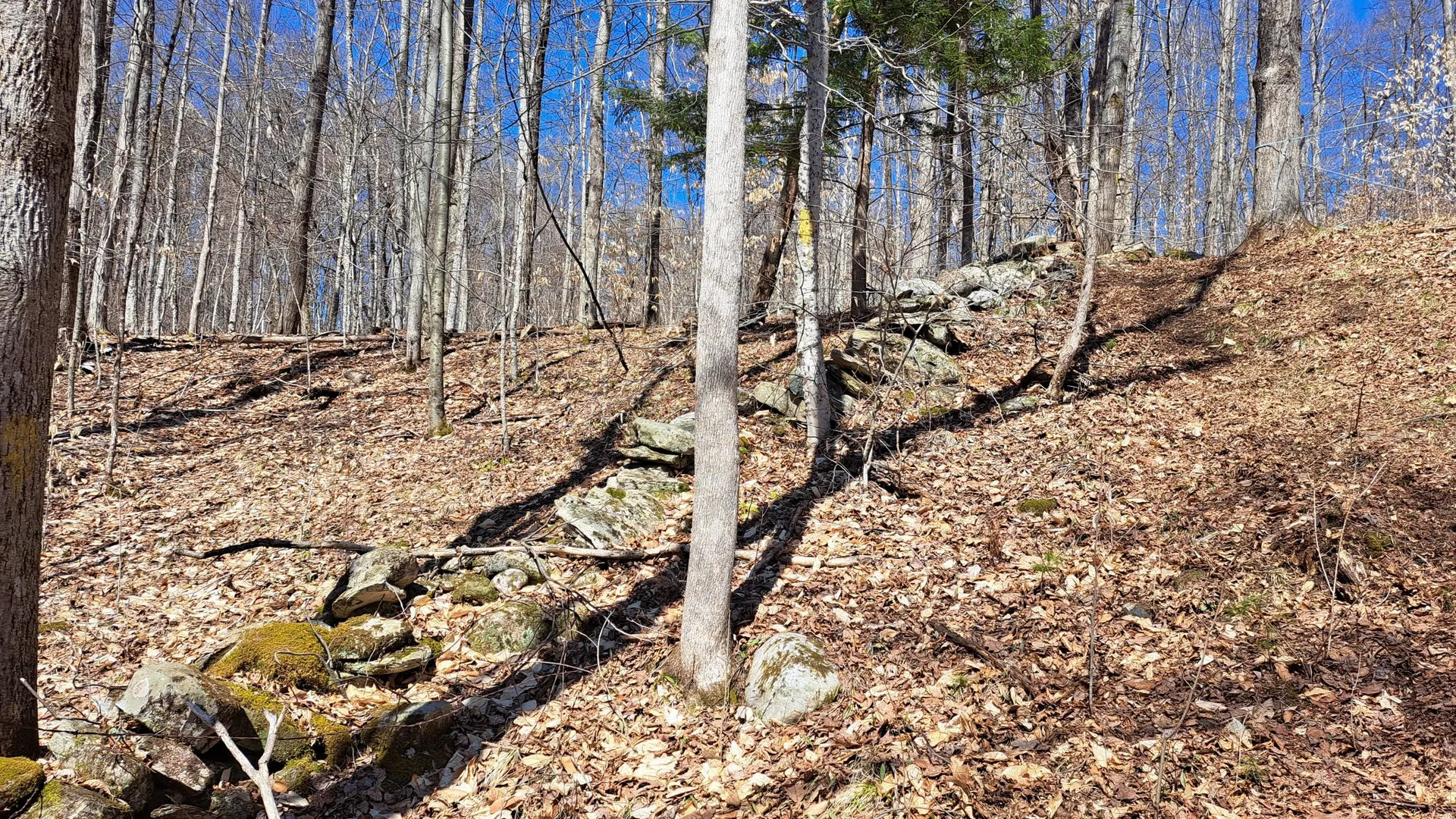 Property at State Route 149, Granville, NY 12832 24