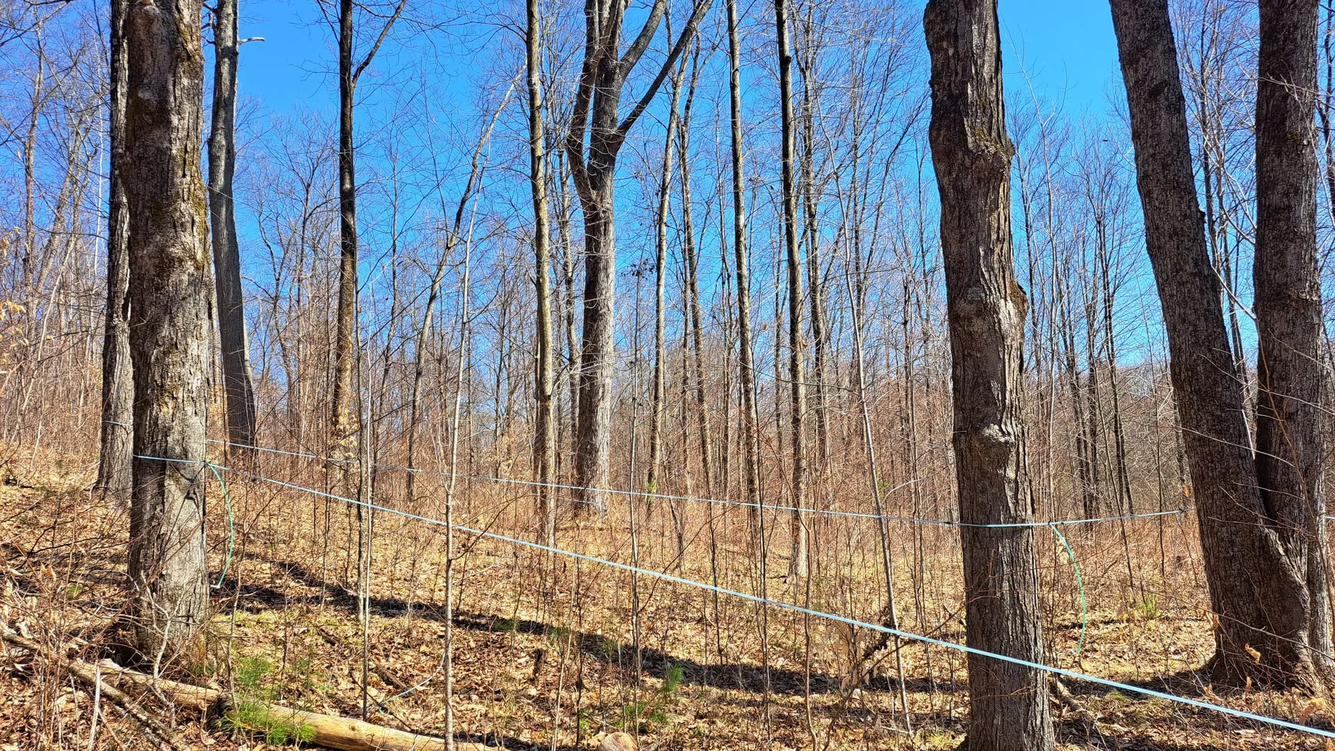Property at State Route 149, Granville, NY 12832 26