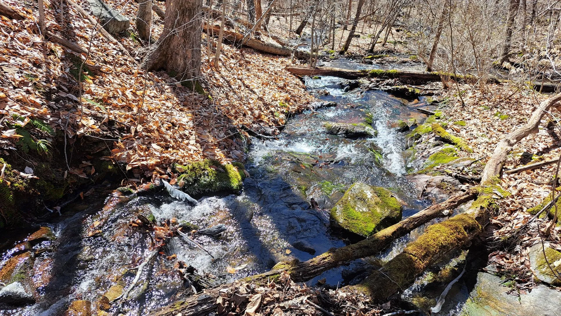 Property at State Route 149, Granville, NY 12832 28