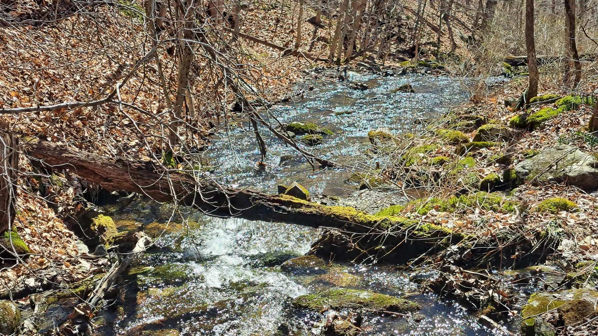 Property at State Route 149, Granville, NY 12832 29