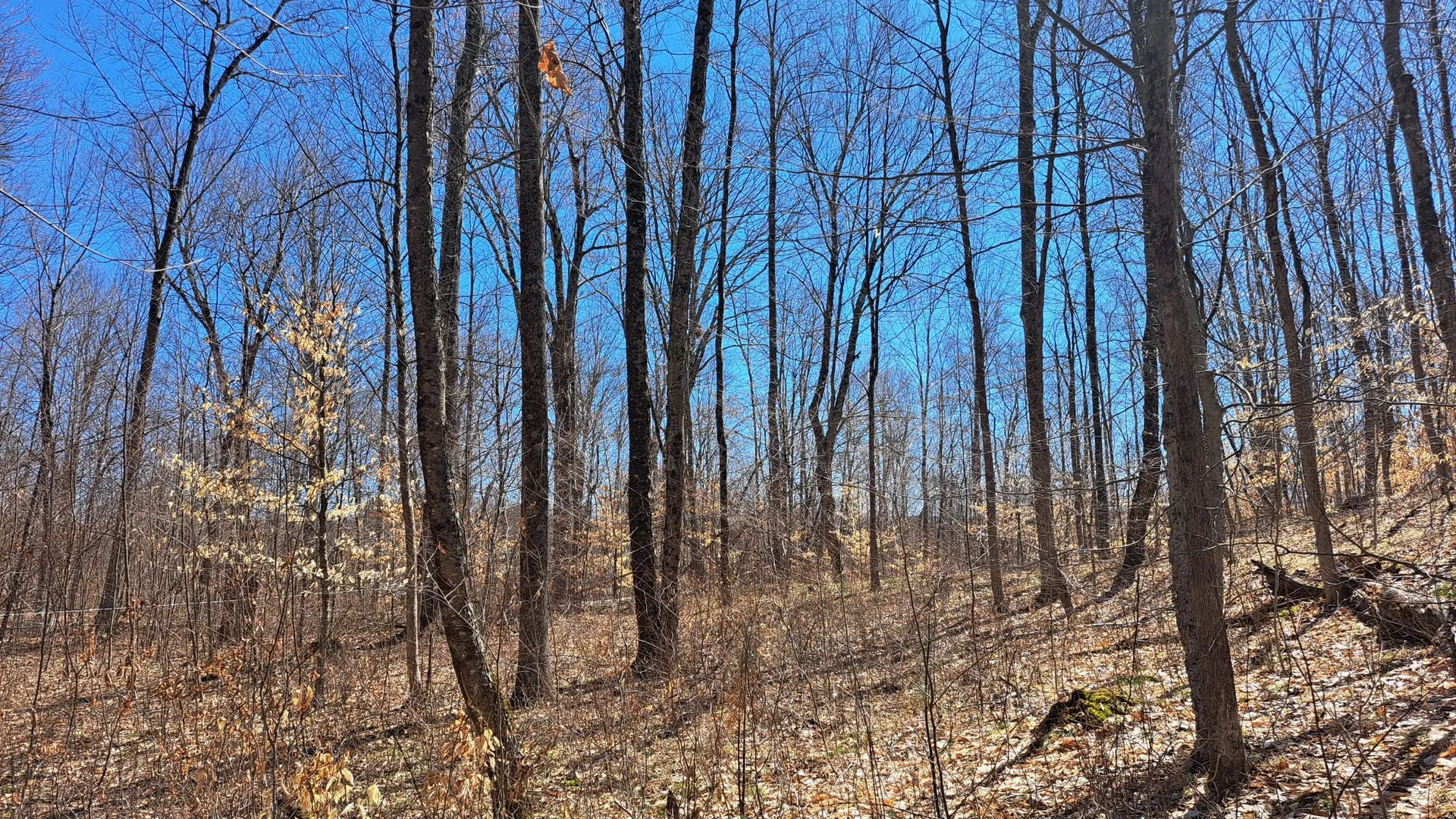 Property at State Route 149, Granville, NY 12832 30