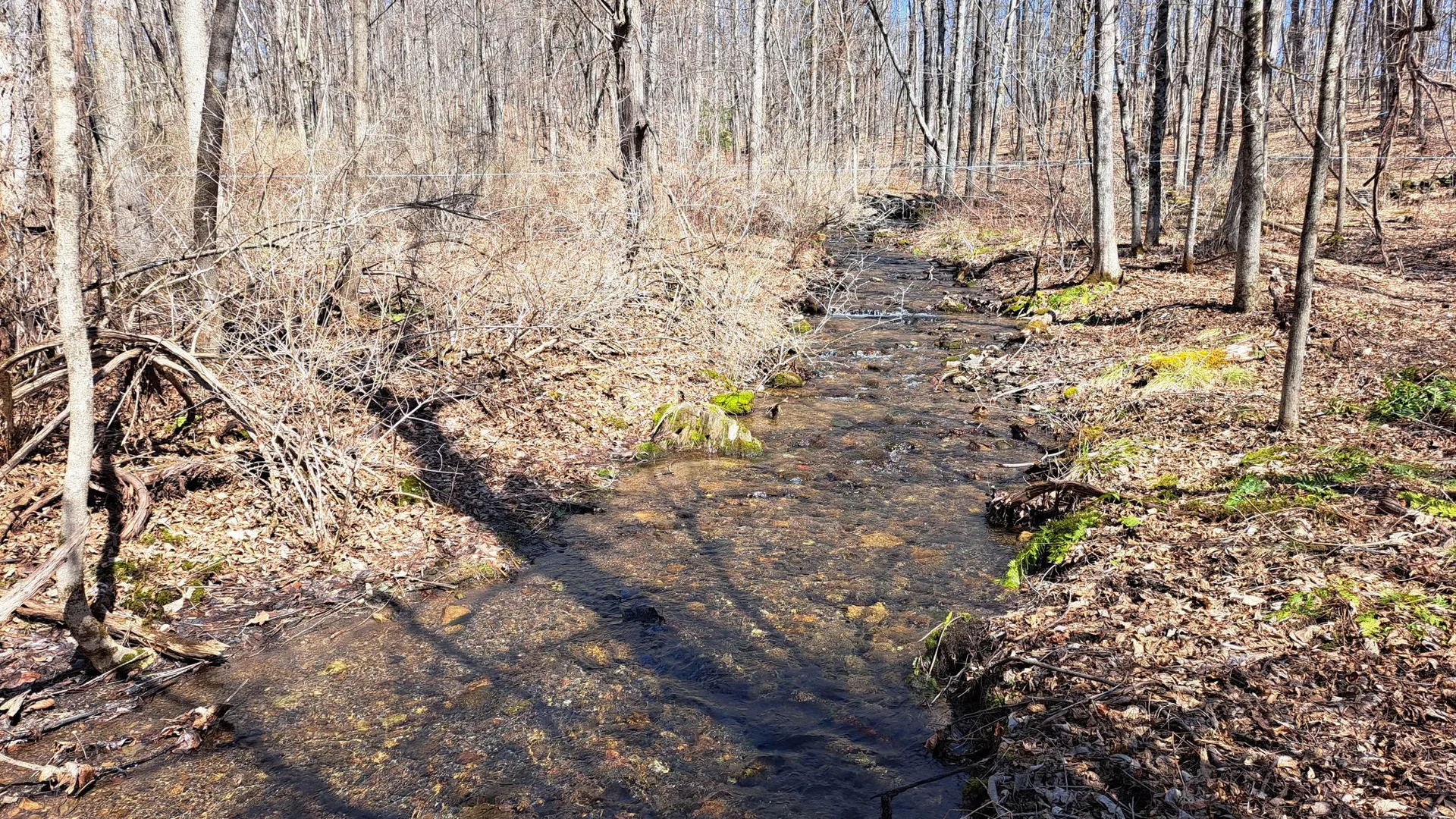 Property at State Route 149, Granville, NY 12832 31