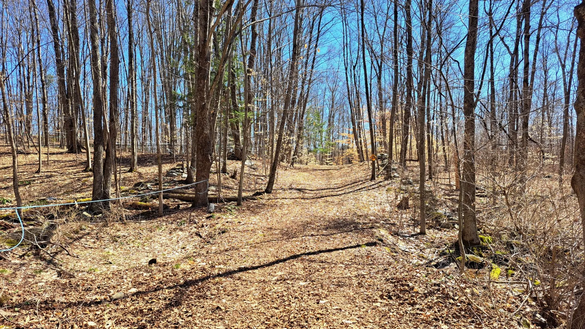 Property at State Route 149, Granville, NY 12832 33