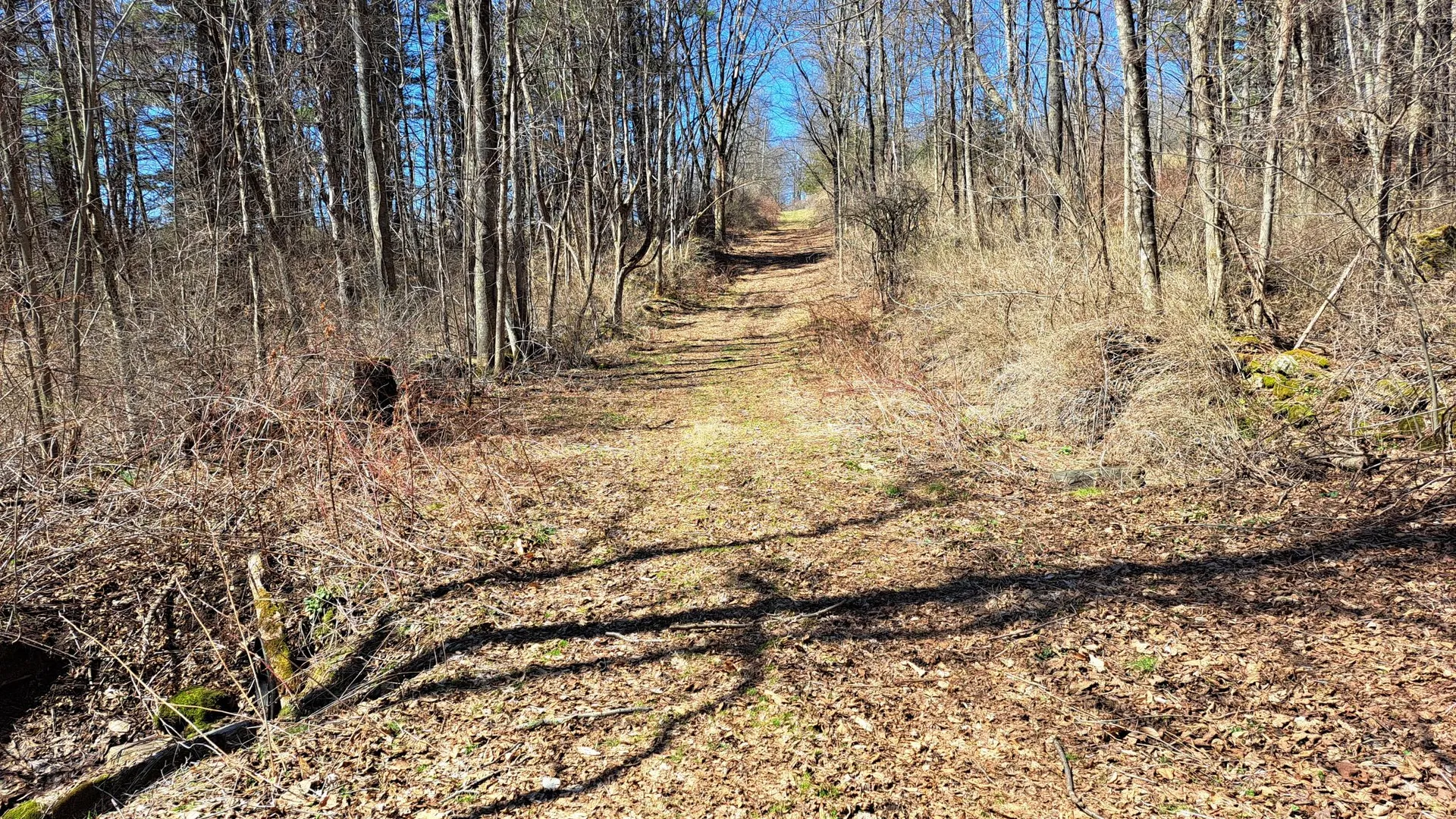 Property at State Route 149, Granville, NY 12832 34