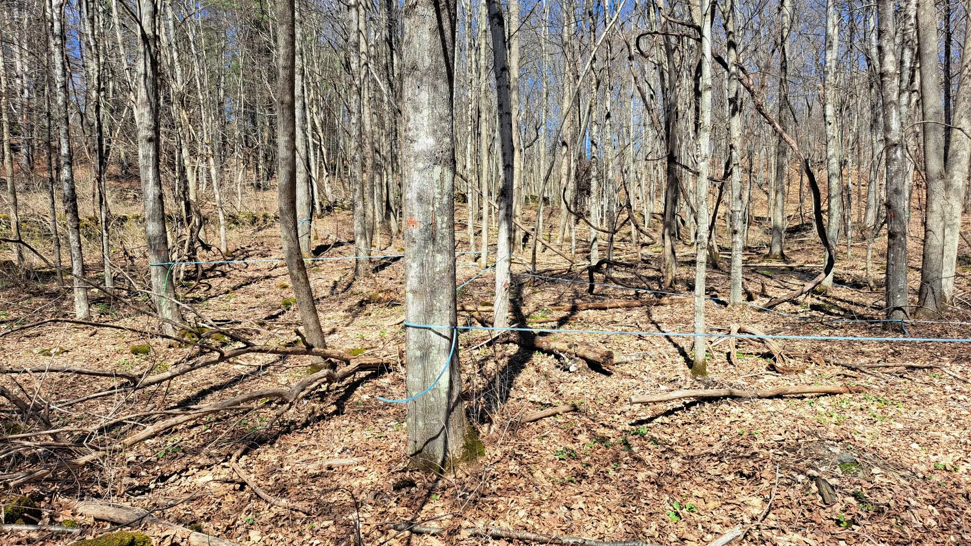 Property at State Route 149, Granville, NY 12832 35