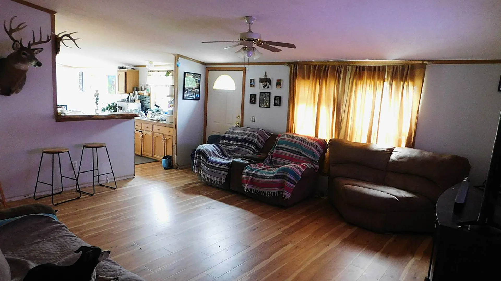 Property at 247 Truesdell Rd, Prattsville, NY 12468 10