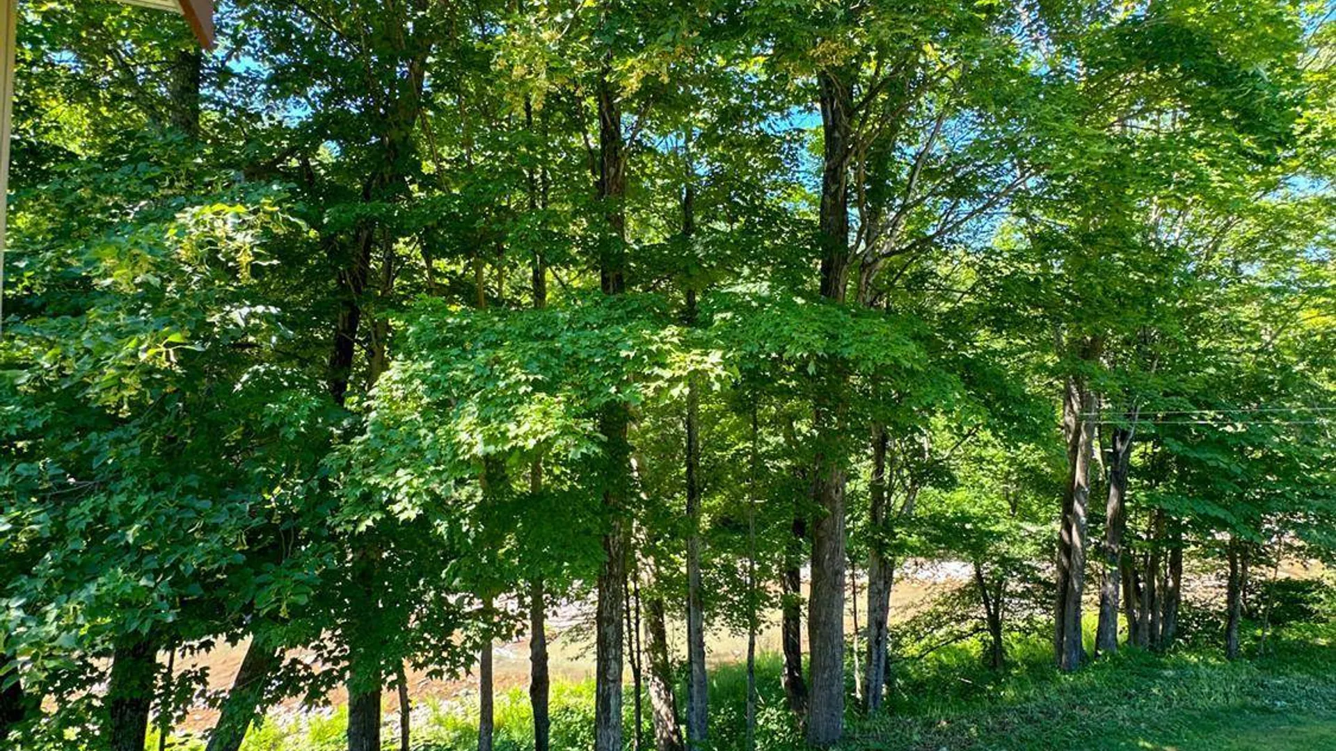 Property at 13681 Route 23, Prattsville, NY 12468 36