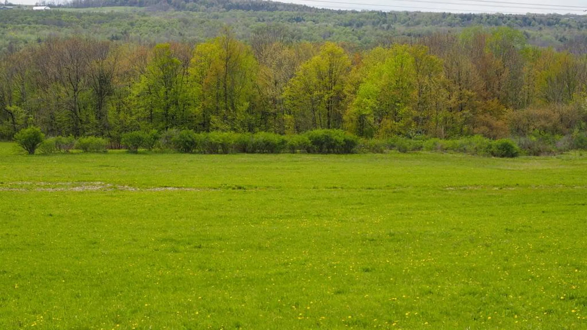 Property at 201 Fiery Hill Rd, Ft. Plain, NY 13339 3