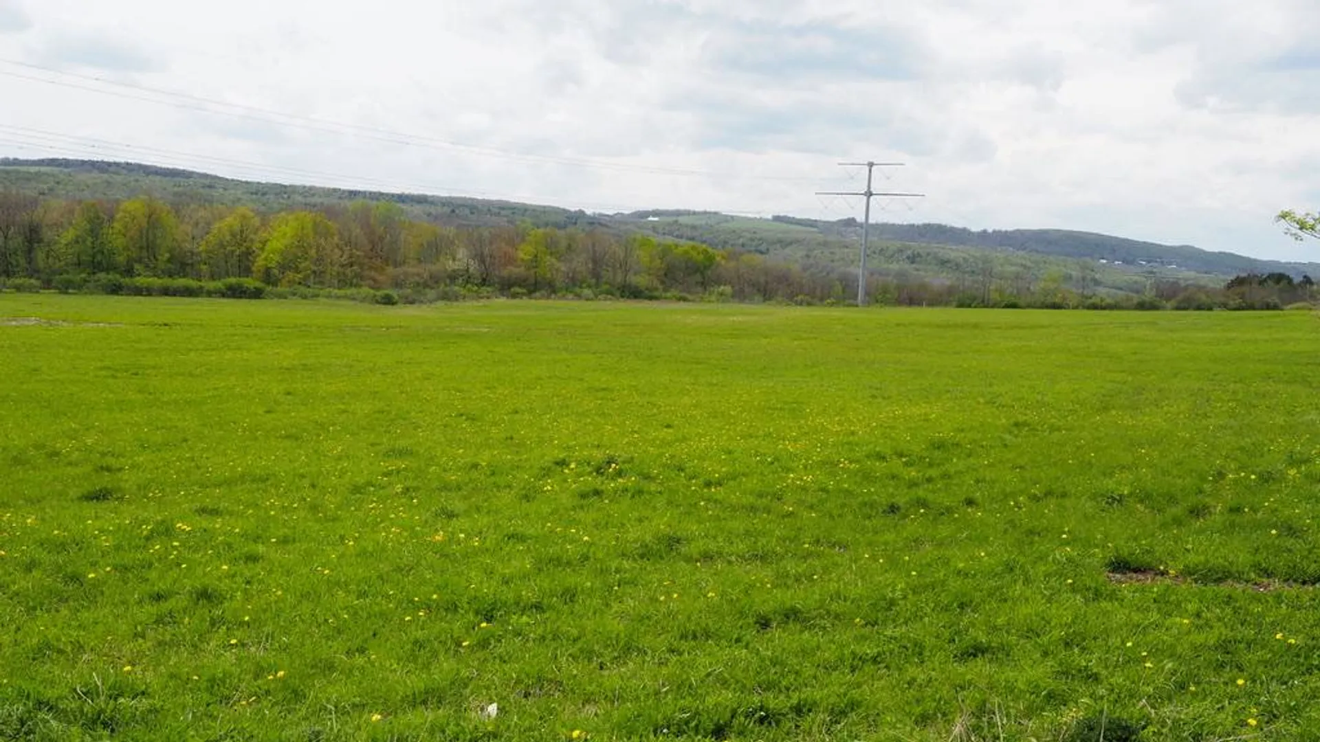 Property at 201 Fiery Hill Rd, Ft. Plain, NY 13339 5
