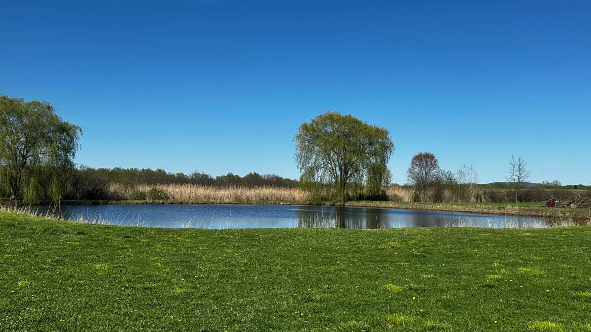 Property at 0 Route 32 S, Modena, NY 12525 7