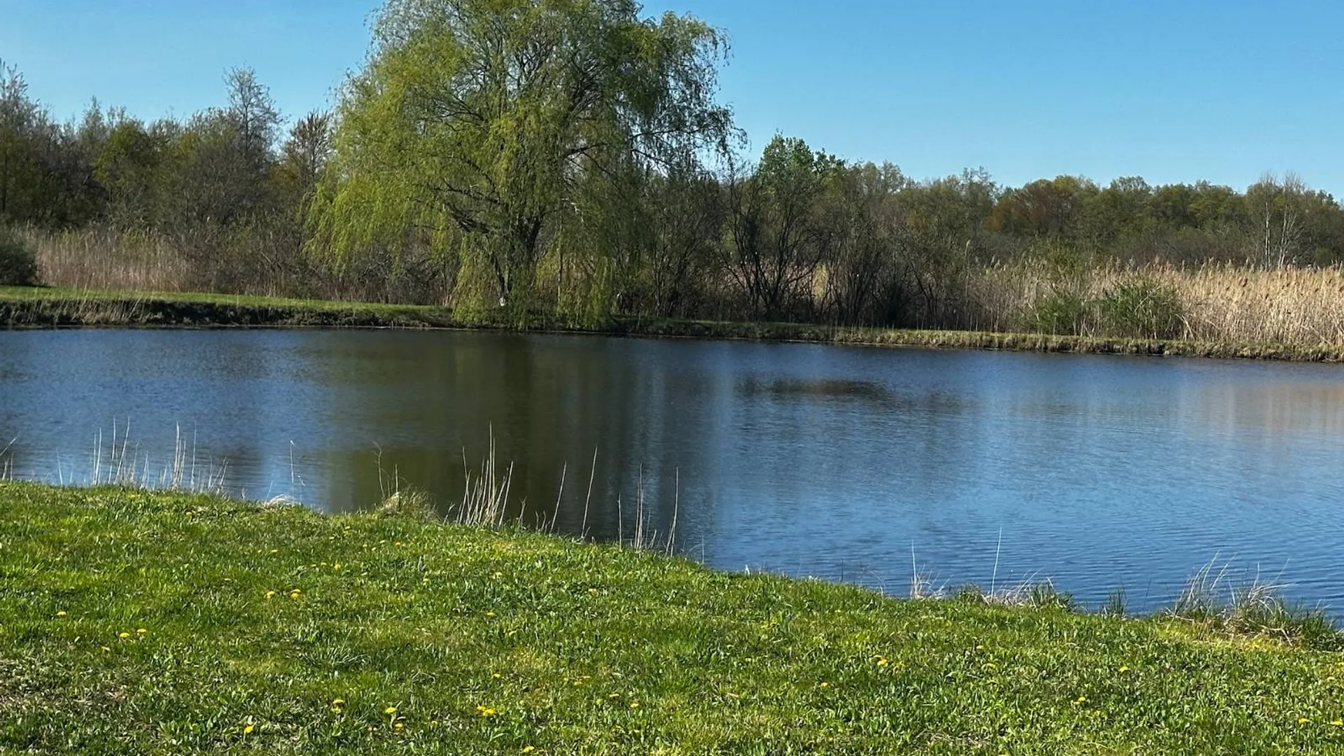 Property at 0 Route 32 S, Modena, NY 12525 11