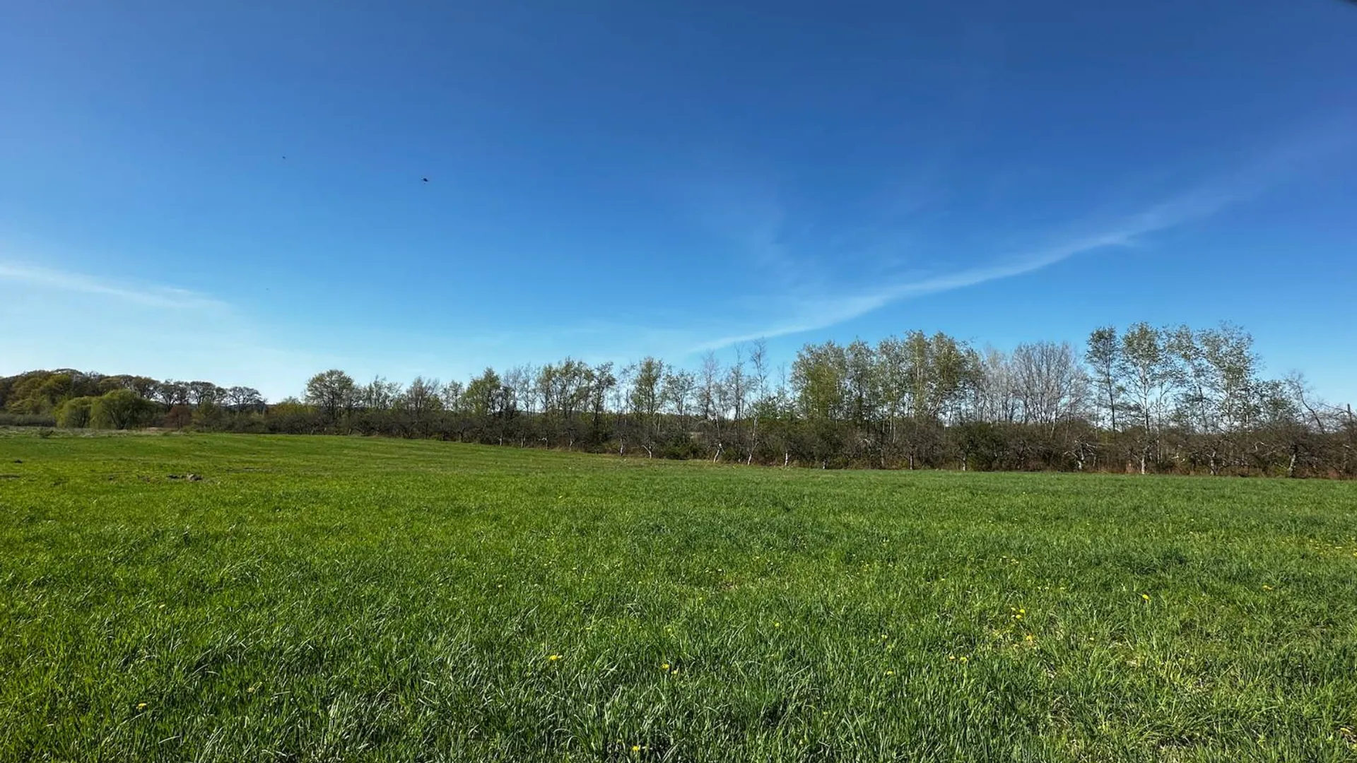 Property at 0 Route 32 S, Modena, NY 12525 14