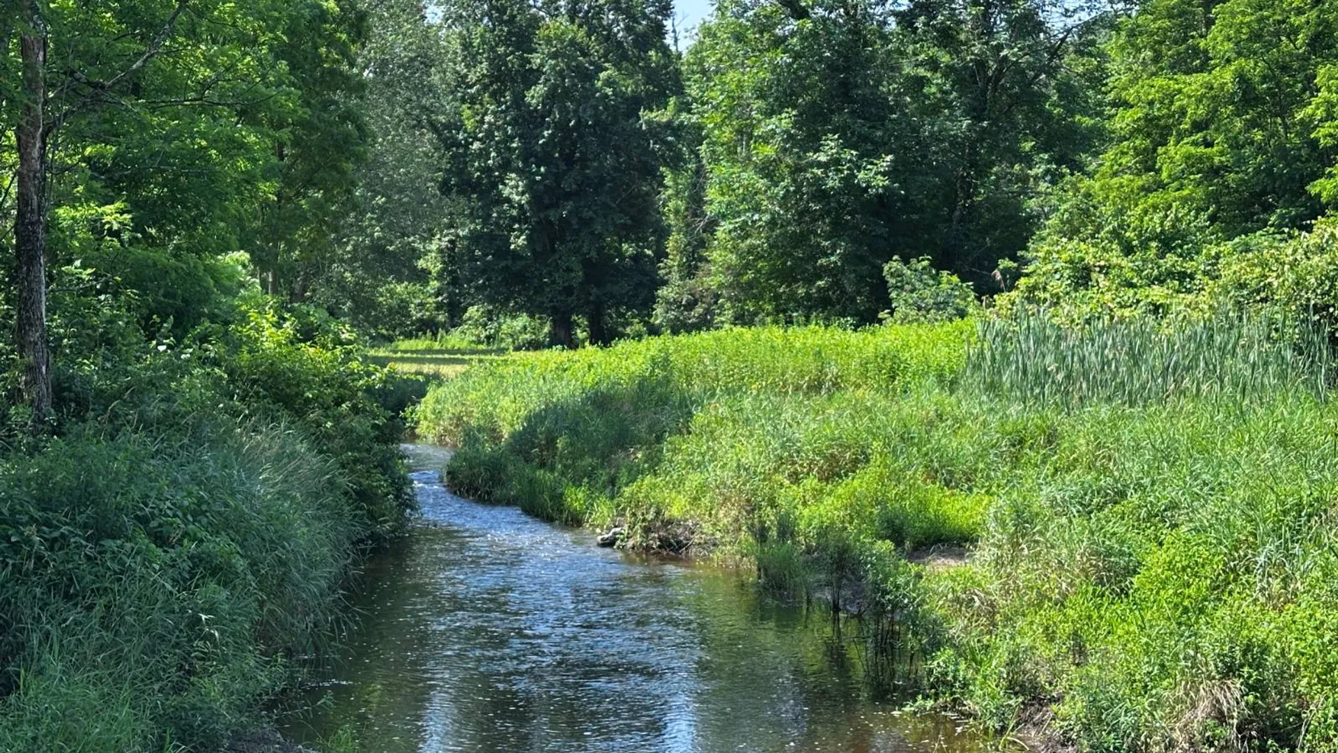 Property at 0 Route 32 S, Modena, NY 12525 18