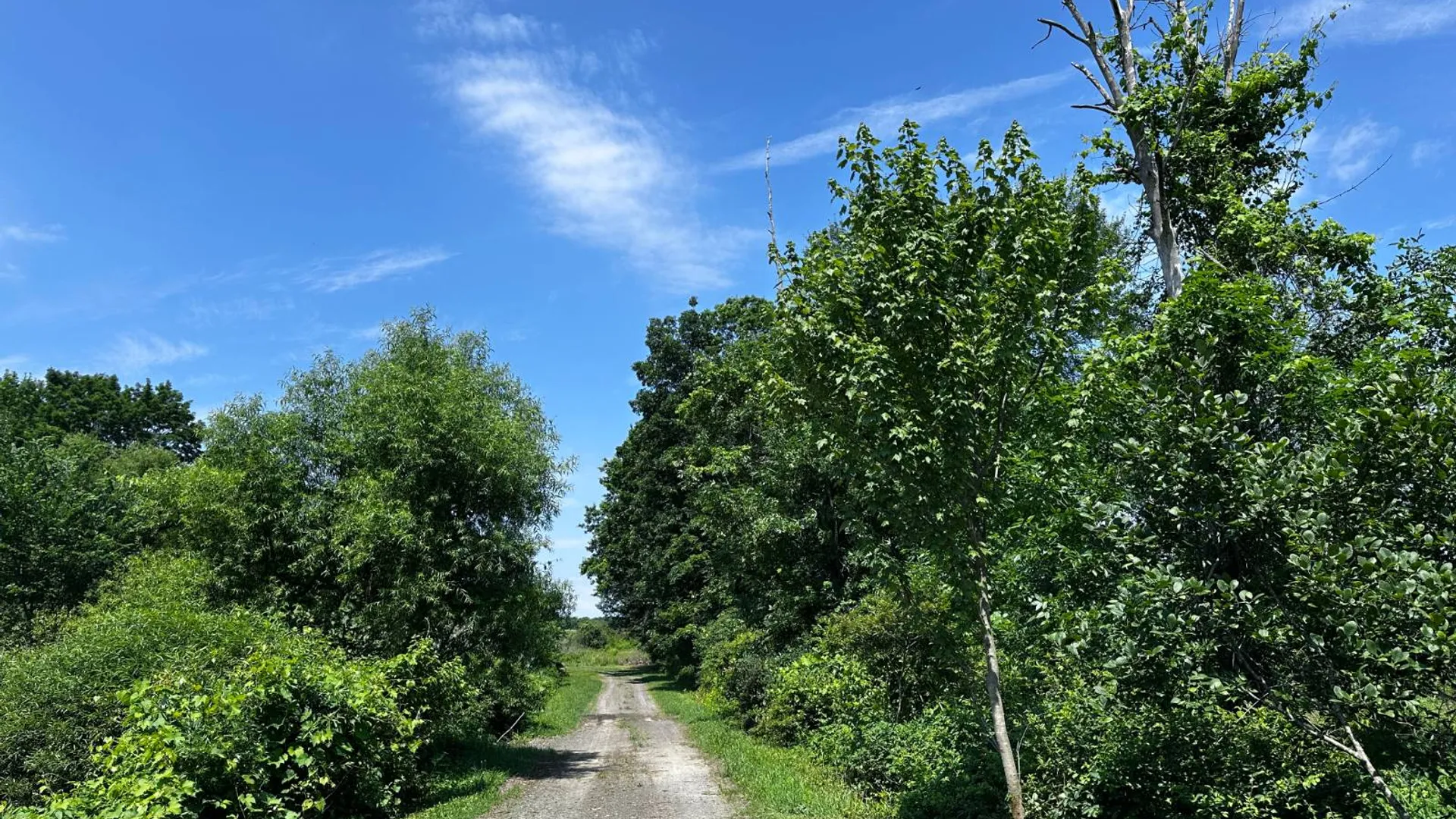 Property at 0 Route 32 S, Modena, NY 12525 20