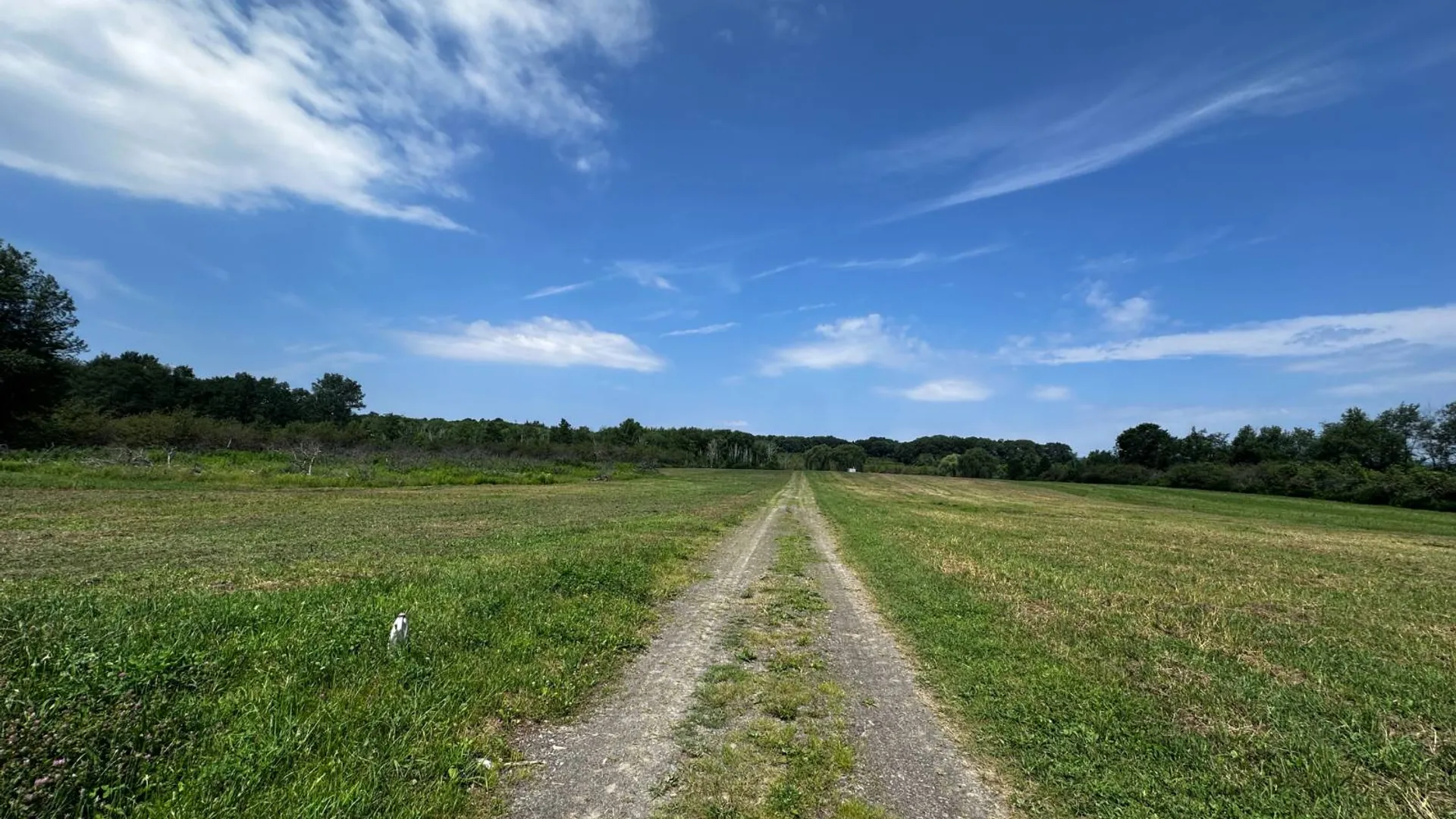 Property at 0 Route 32 S, Modena, NY 12525 22