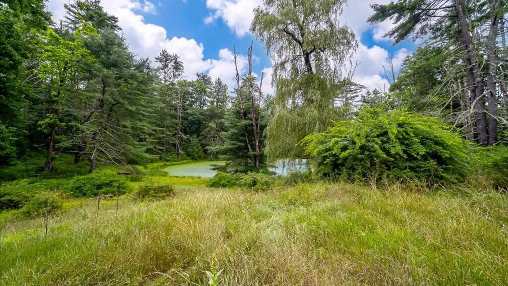 Property at 62 Eden Rd, Cuddebackville, NY 12729 29