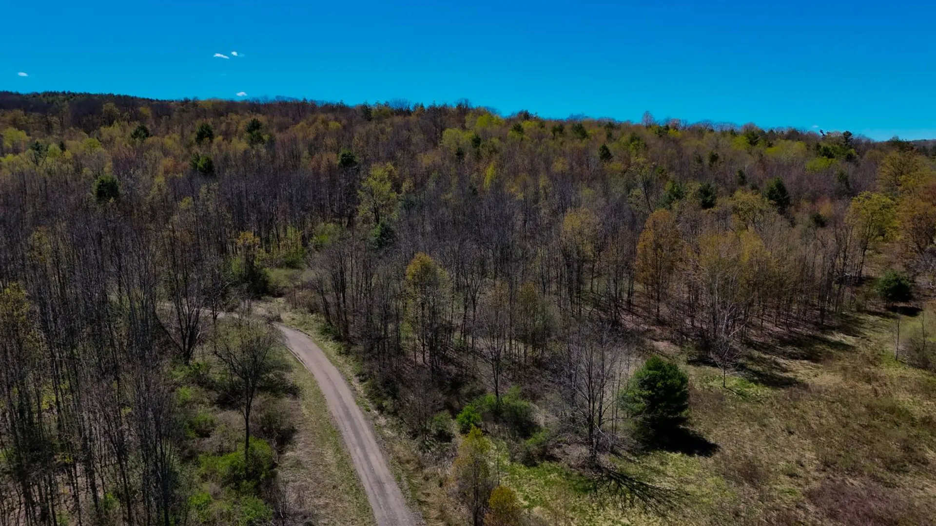 Property at 00WP2 Cr 352, Medusa, NY 12120 3