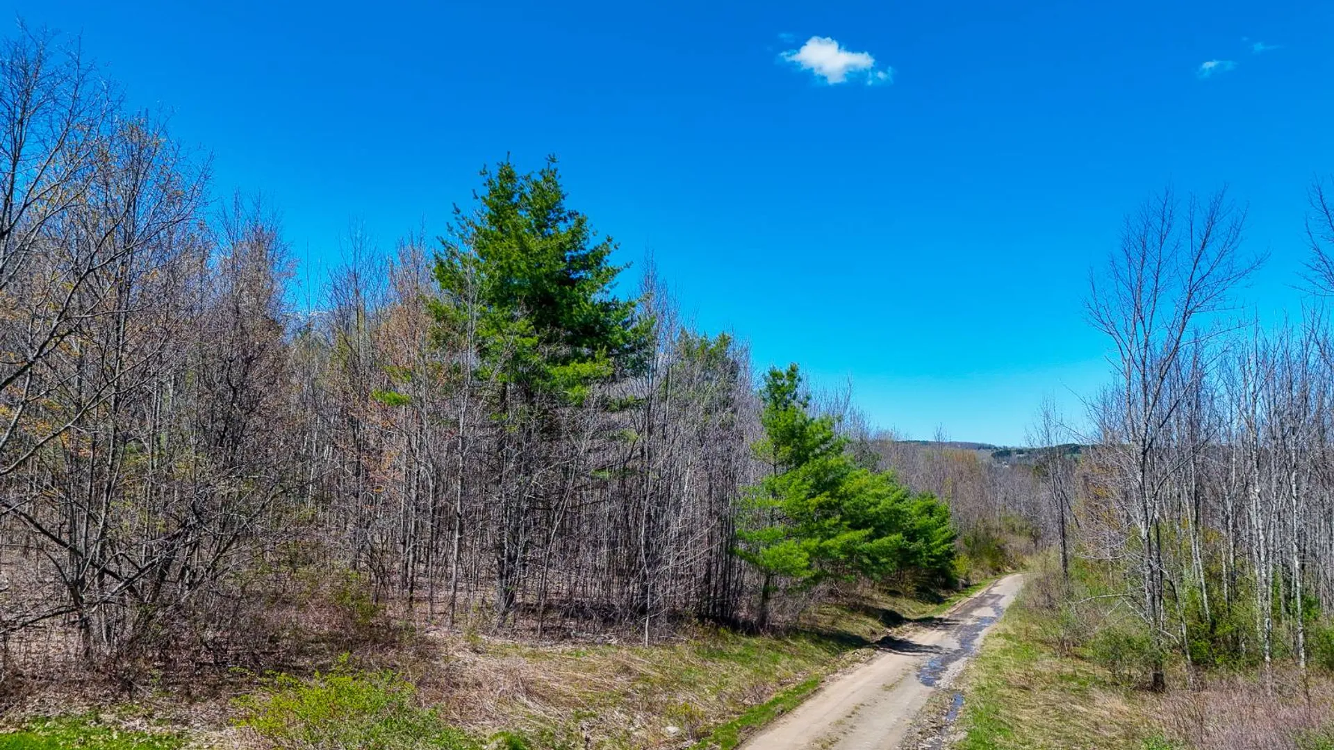 Property at 00WP2 Cr 352, Medusa, NY 12120 6