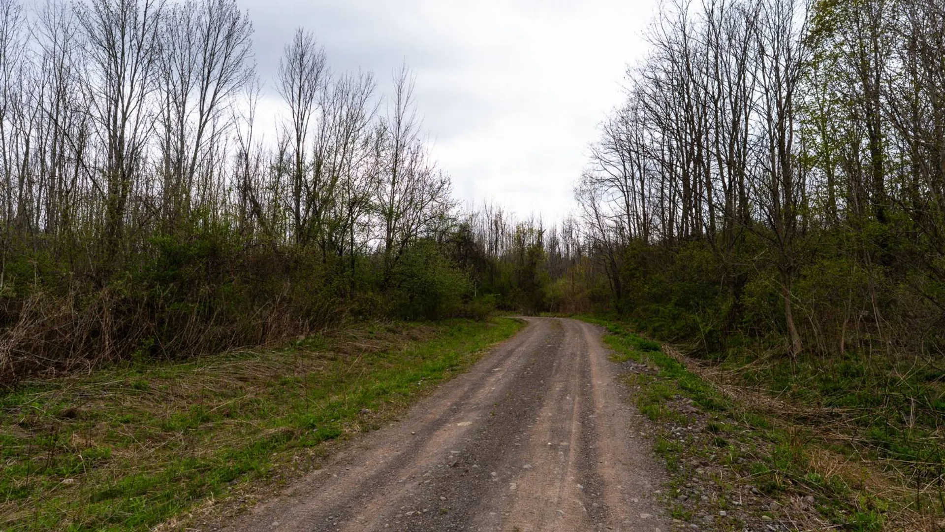 Property at 00WP2 Cr 352, Medusa, NY 12120 15