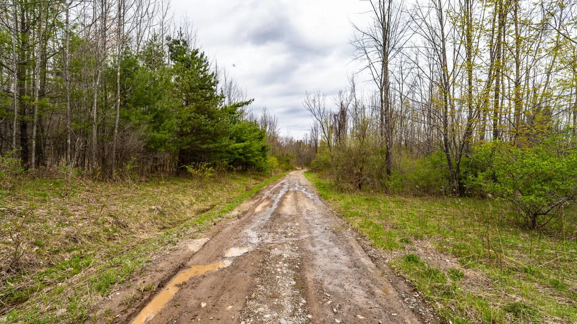 Property at 00WP2 Cr 352, Medusa, NY 12120 16