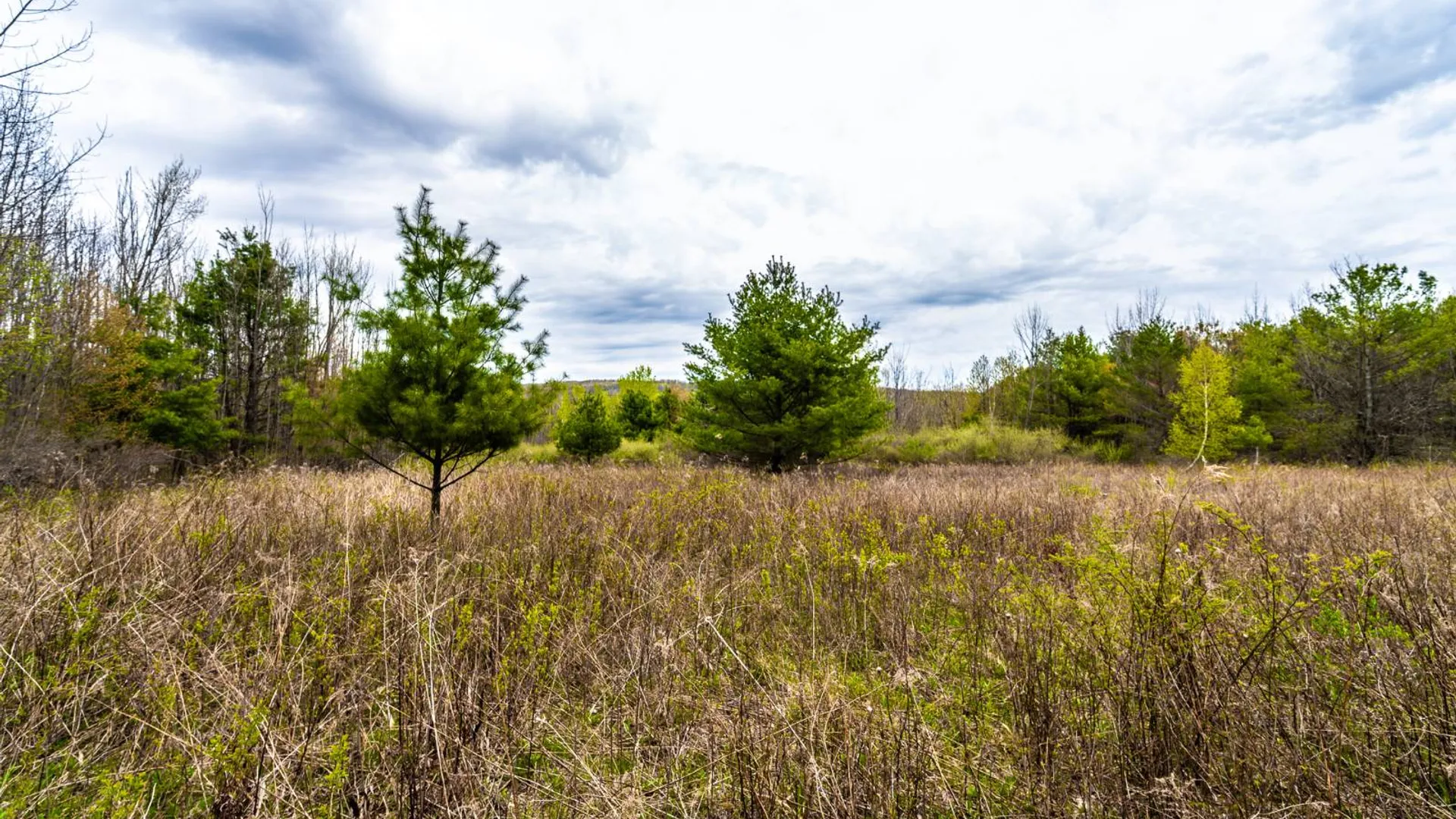 Property at 00WP2 Cr 352, Medusa, NY 12120 17