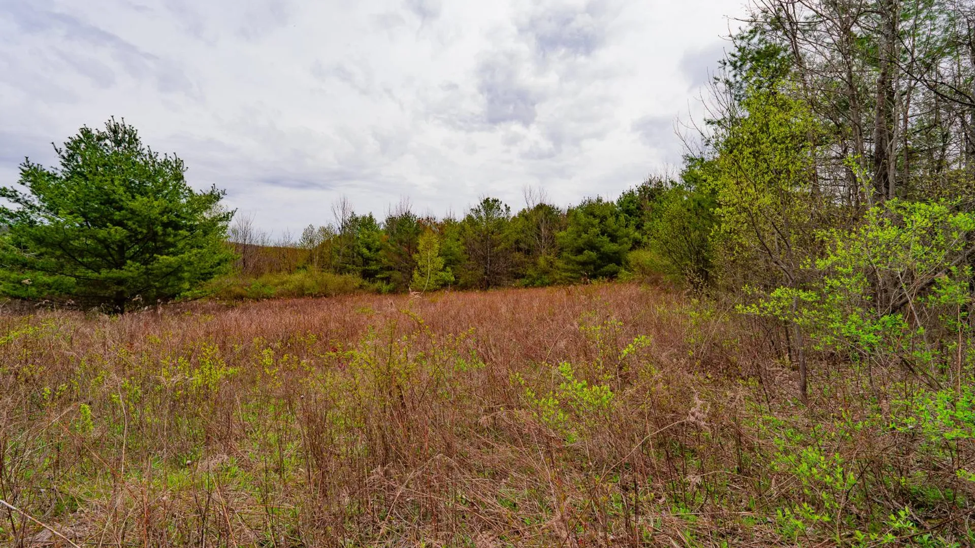 Property at 00WP2 Cr 352, Medusa, NY 12120 19