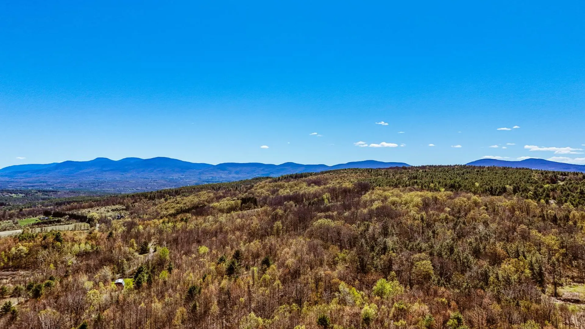 Property at 00WP2 Cr 352, Medusa, NY 12120 21