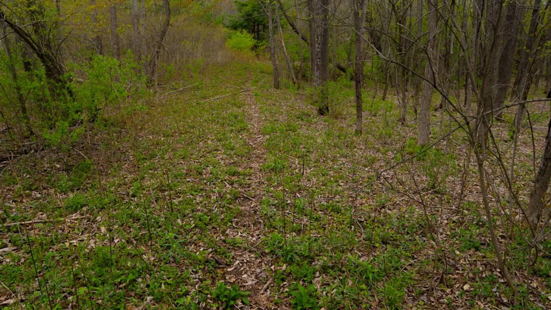 Property at 00WP2 Cr 352, Medusa, NY 12120 22