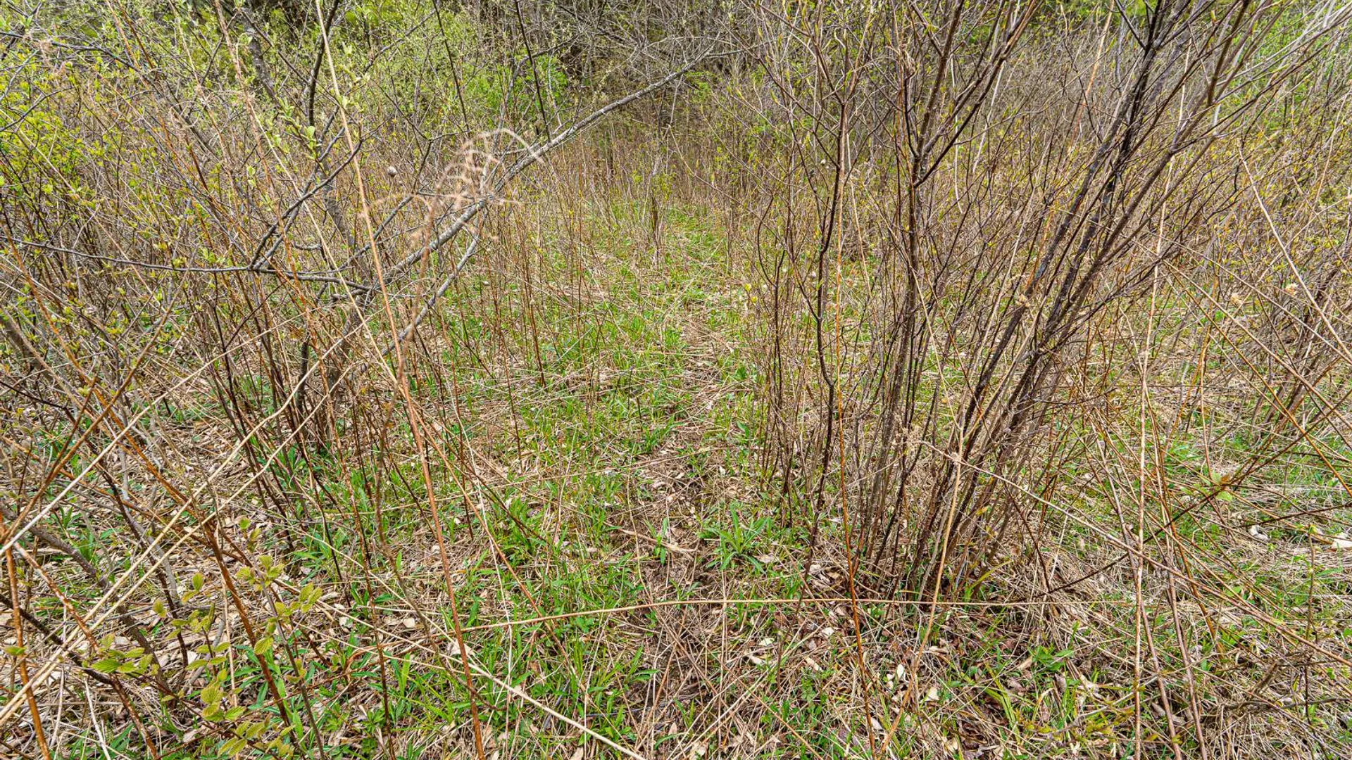 Property at 00WP2 Cr 352, Medusa, NY 12120 24