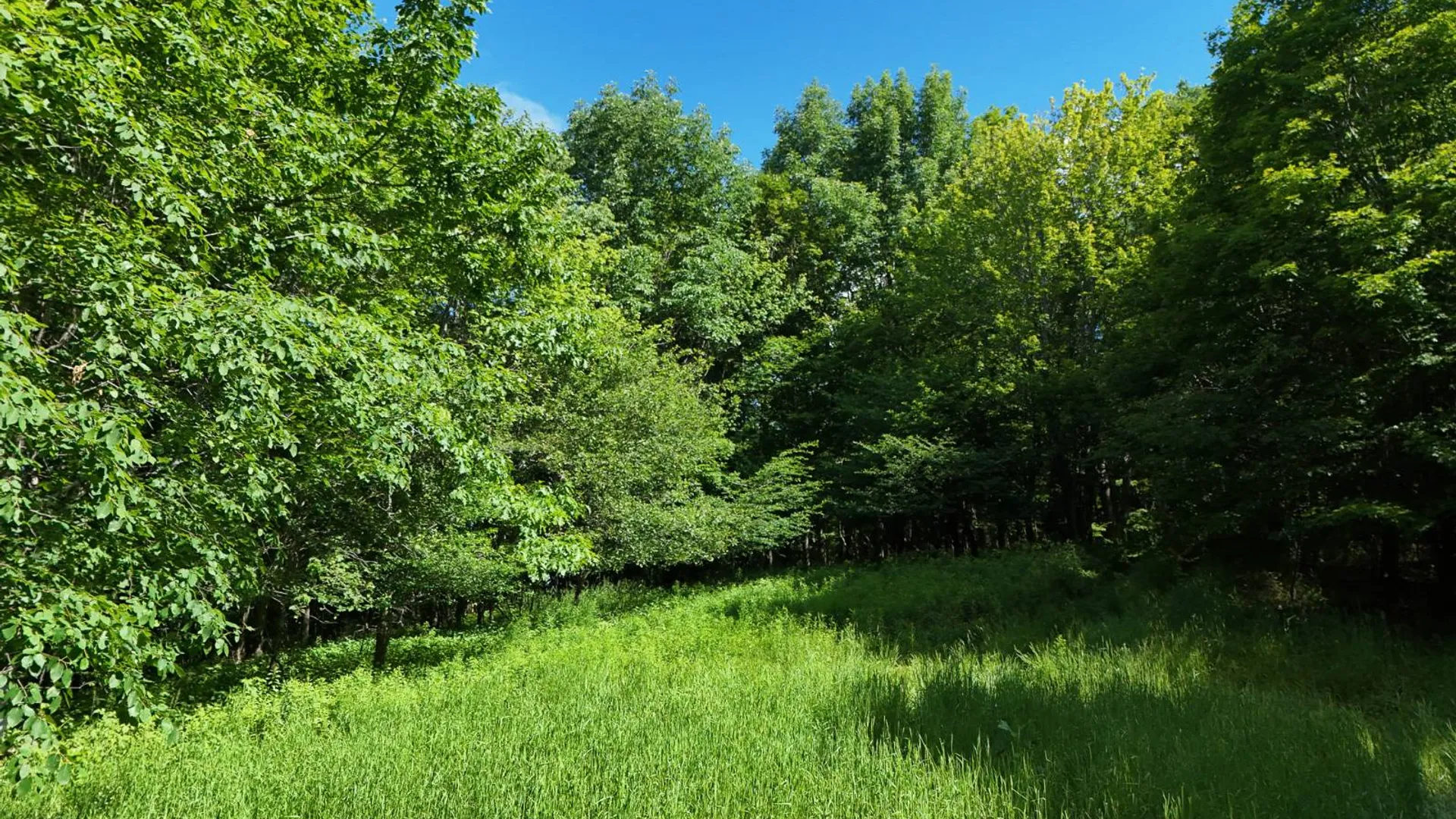 Property at 00WP De Nicola Rd, Fleischmanns, NY 12430 30