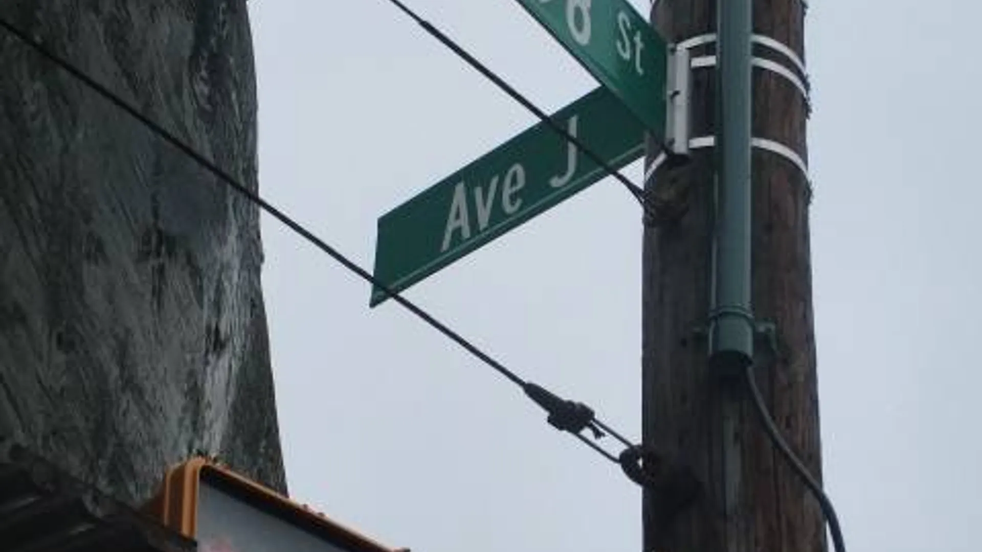 Property at 1200 East 98 Street, Brooklyn, NY 11236 8