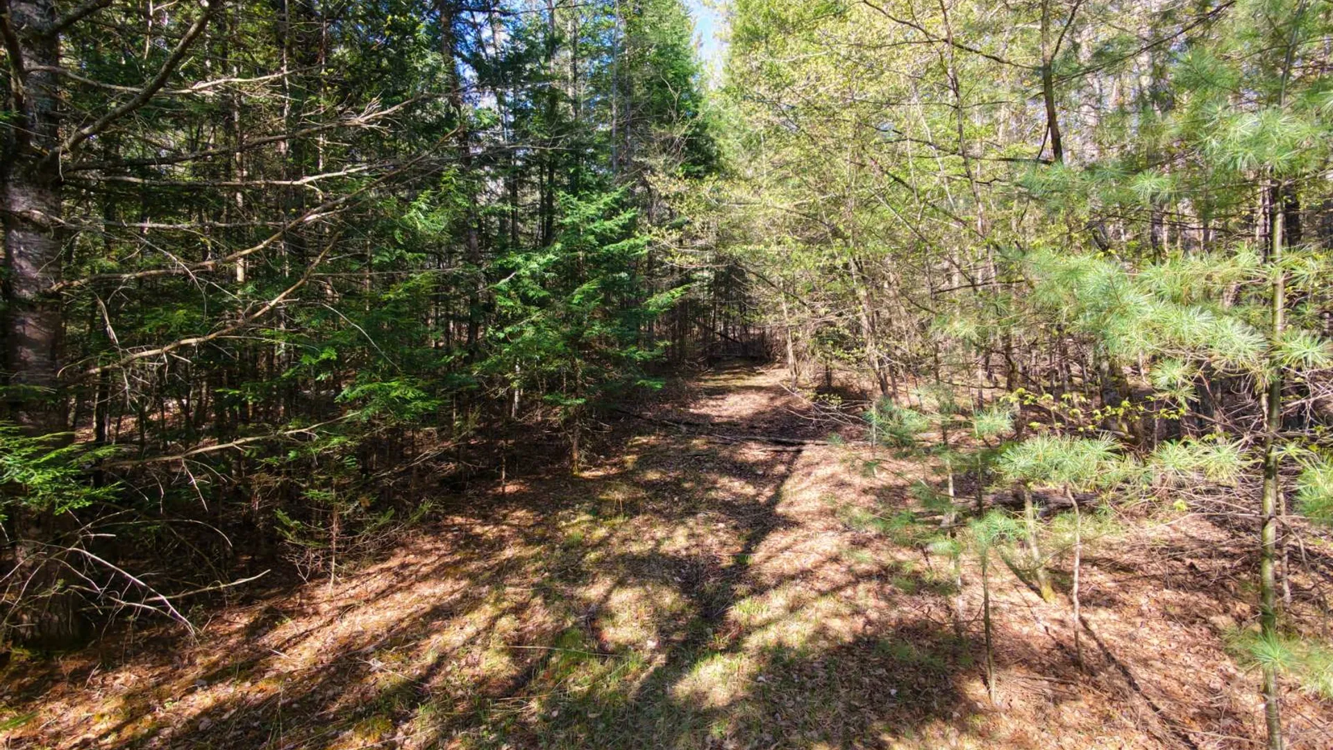 Property at 0 Hardscrabble Rd, North Creek, NY 12853 3