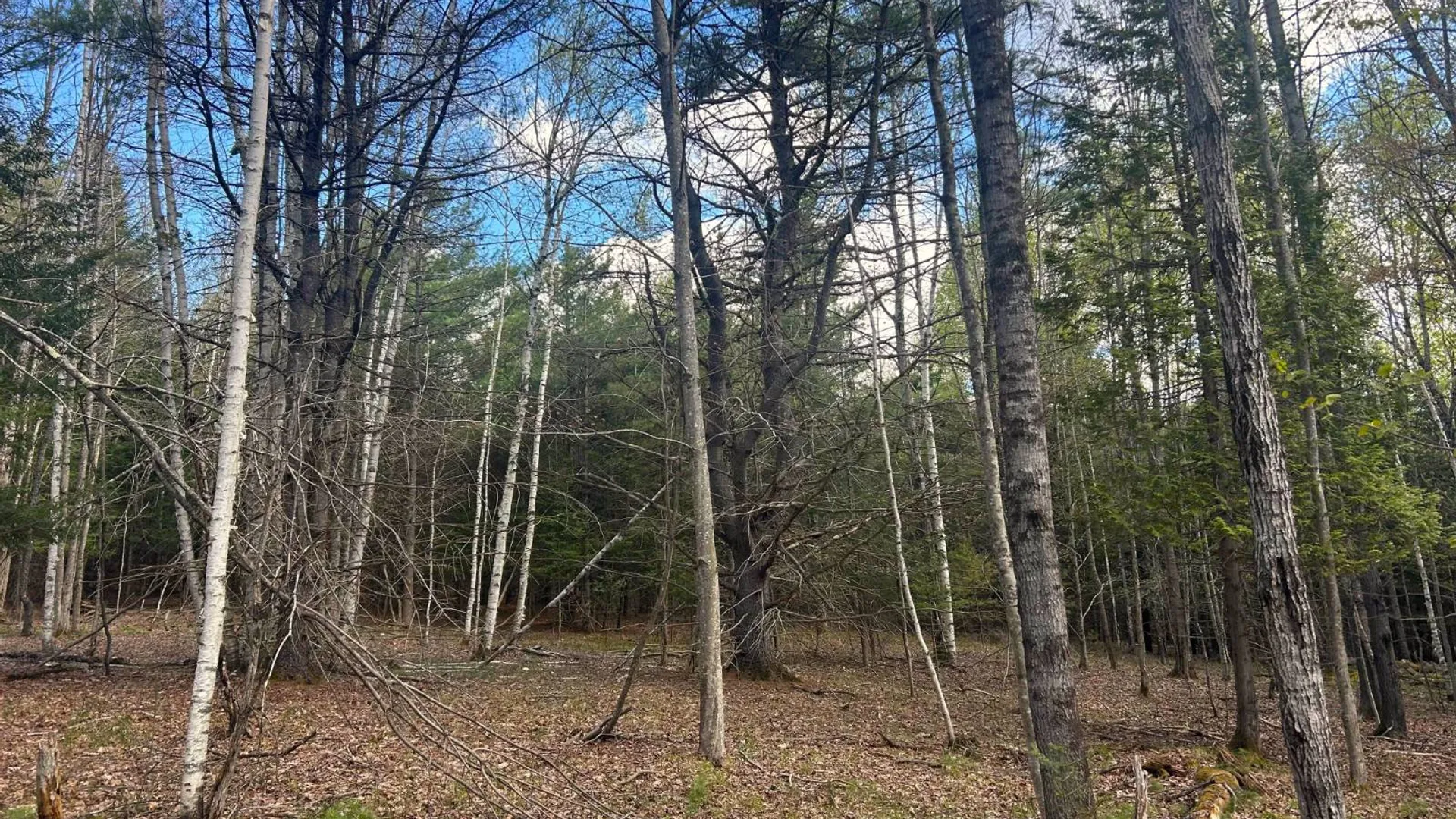 Property at 0 Hardscrabble Rd, North Creek, NY 12853 5
