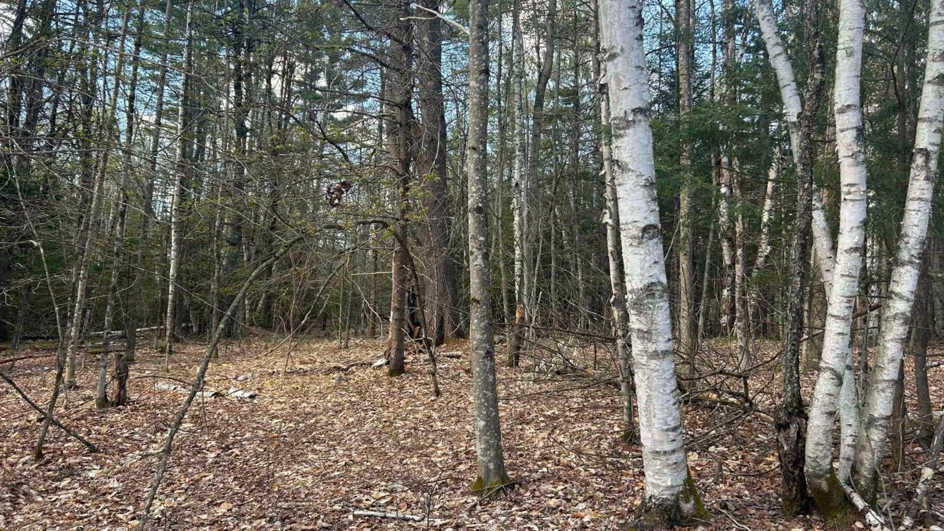Property at 0 Hardscrabble Rd, North Creek, NY 12853 10