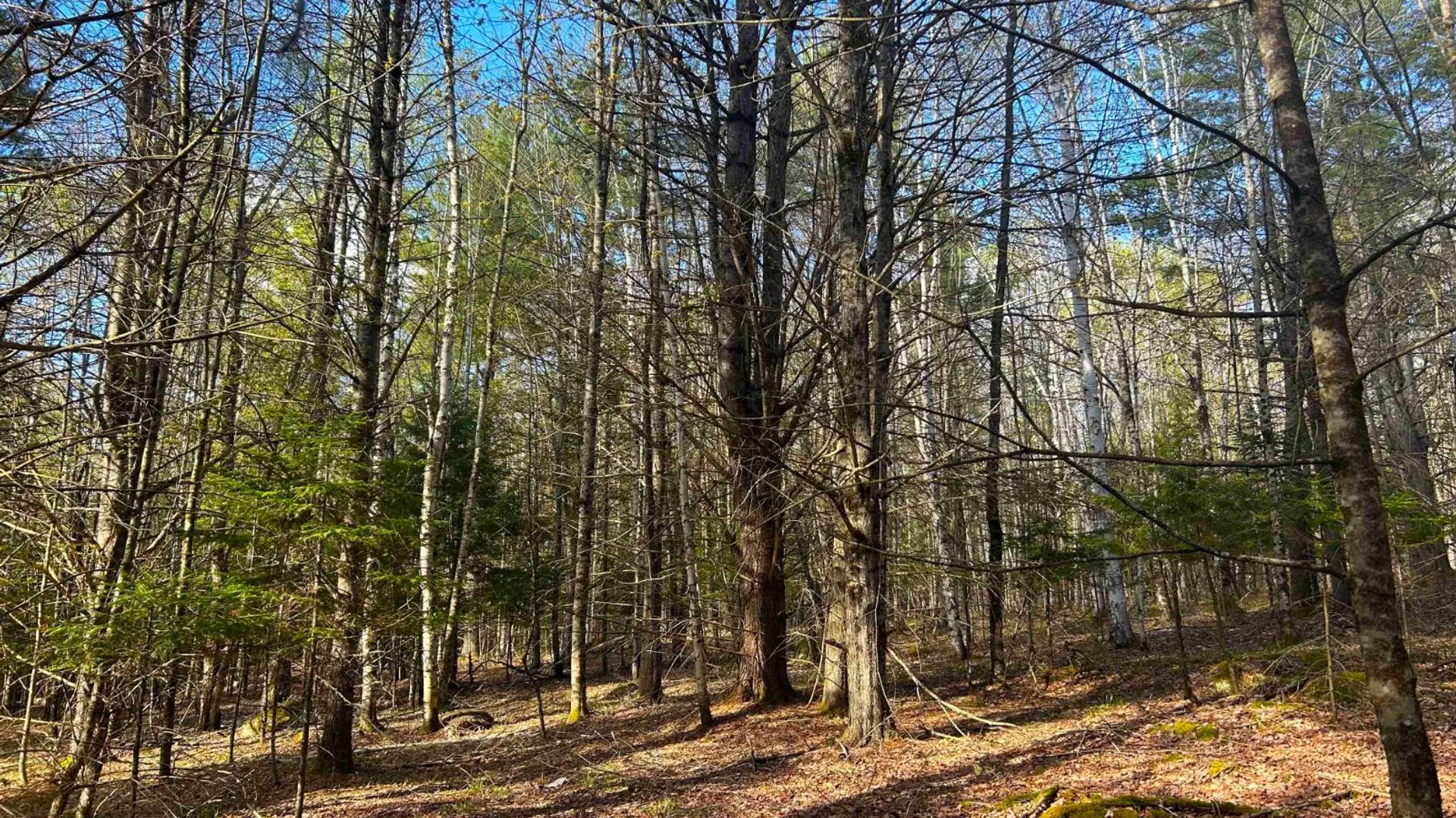 Property at 0 Hardscrabble Rd, North Creek, NY 12853 11